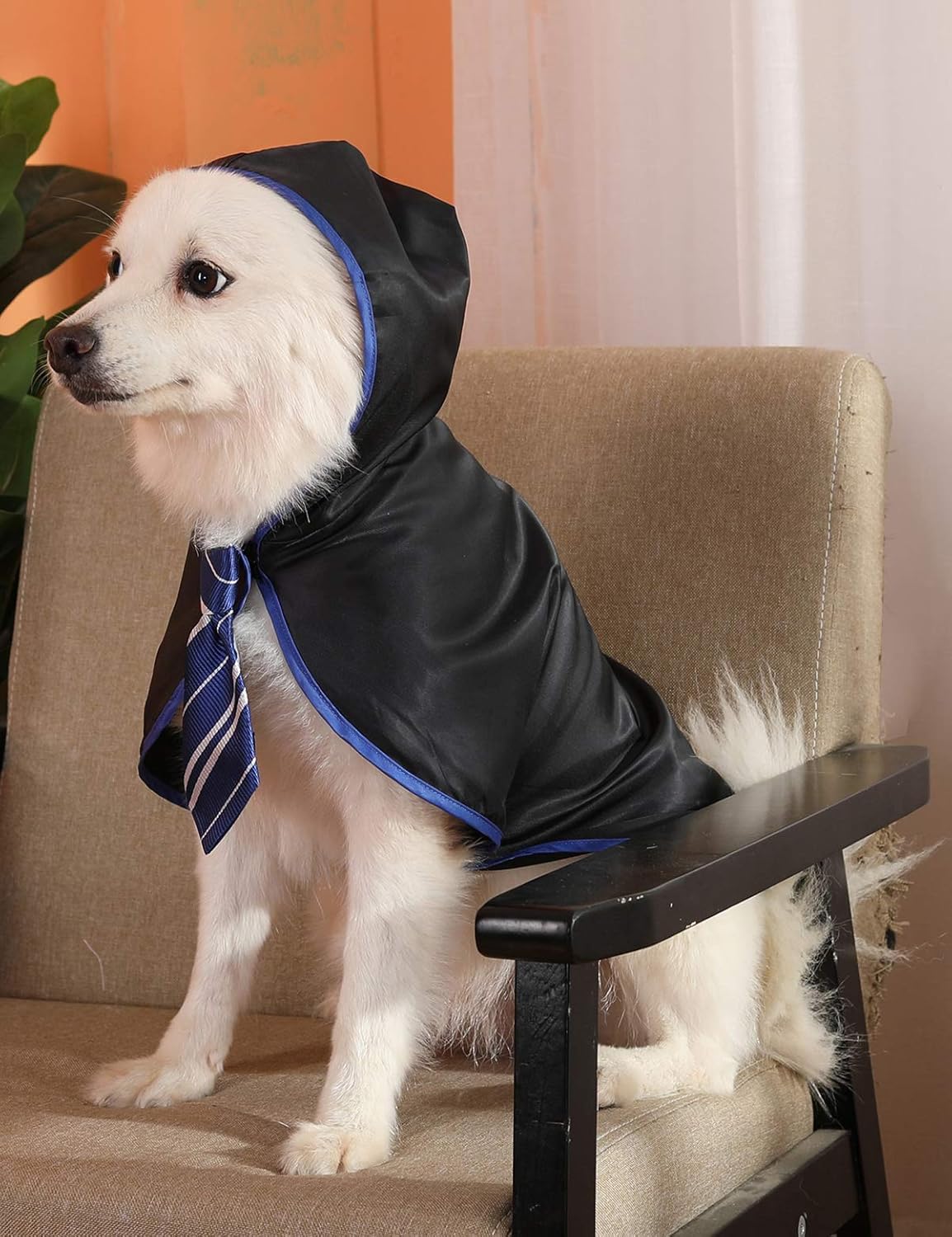 Disfraces de bruja talla S