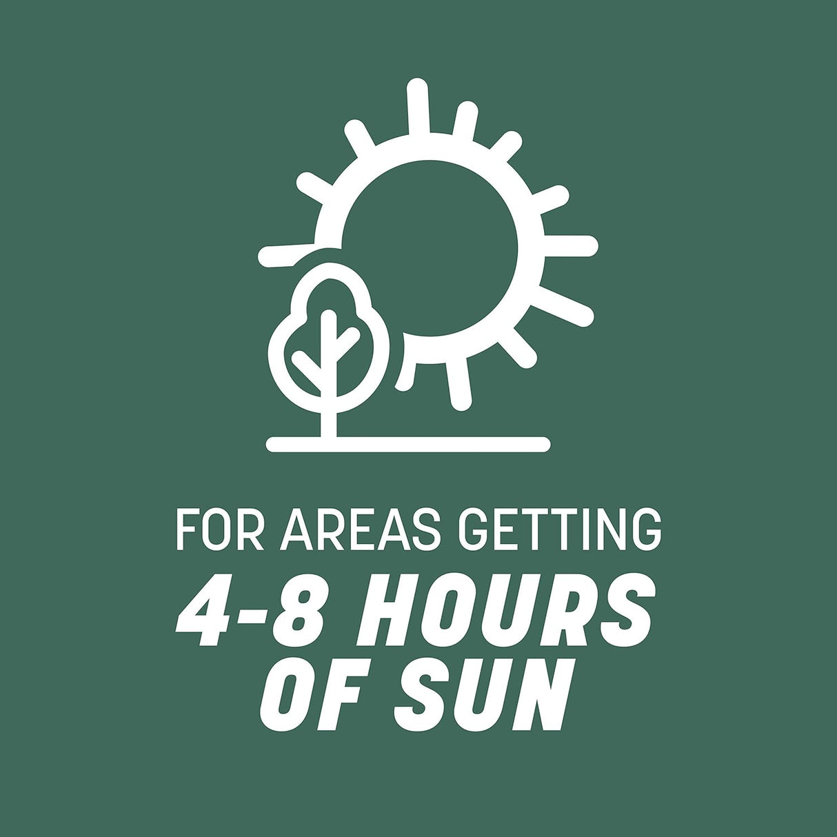 Semilla de Césped Tall Fescue Pennington 31, 20 lb, Resistente