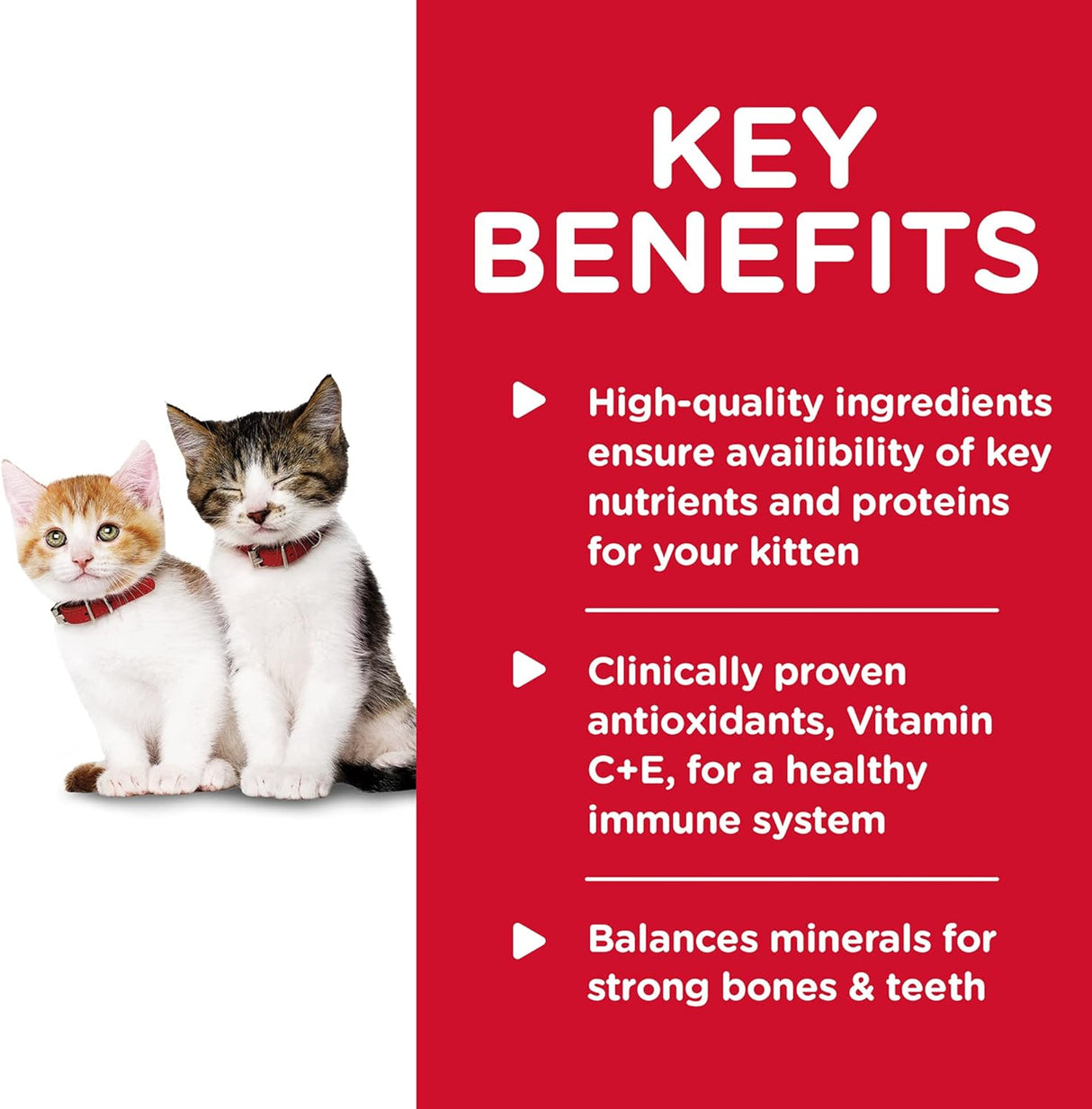 Alimentos Paquete de variedad de alimentos enlatados