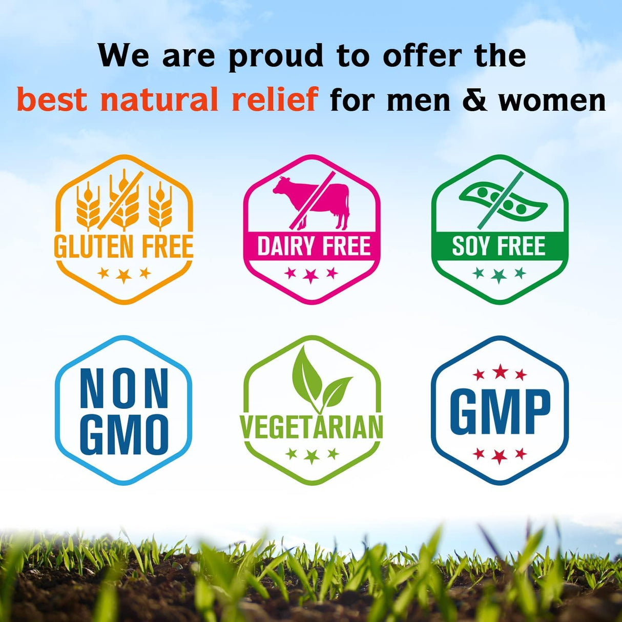 Suplemento de Curcumina de Cúrcuma, 95% Curcuminoides 90 Cáp