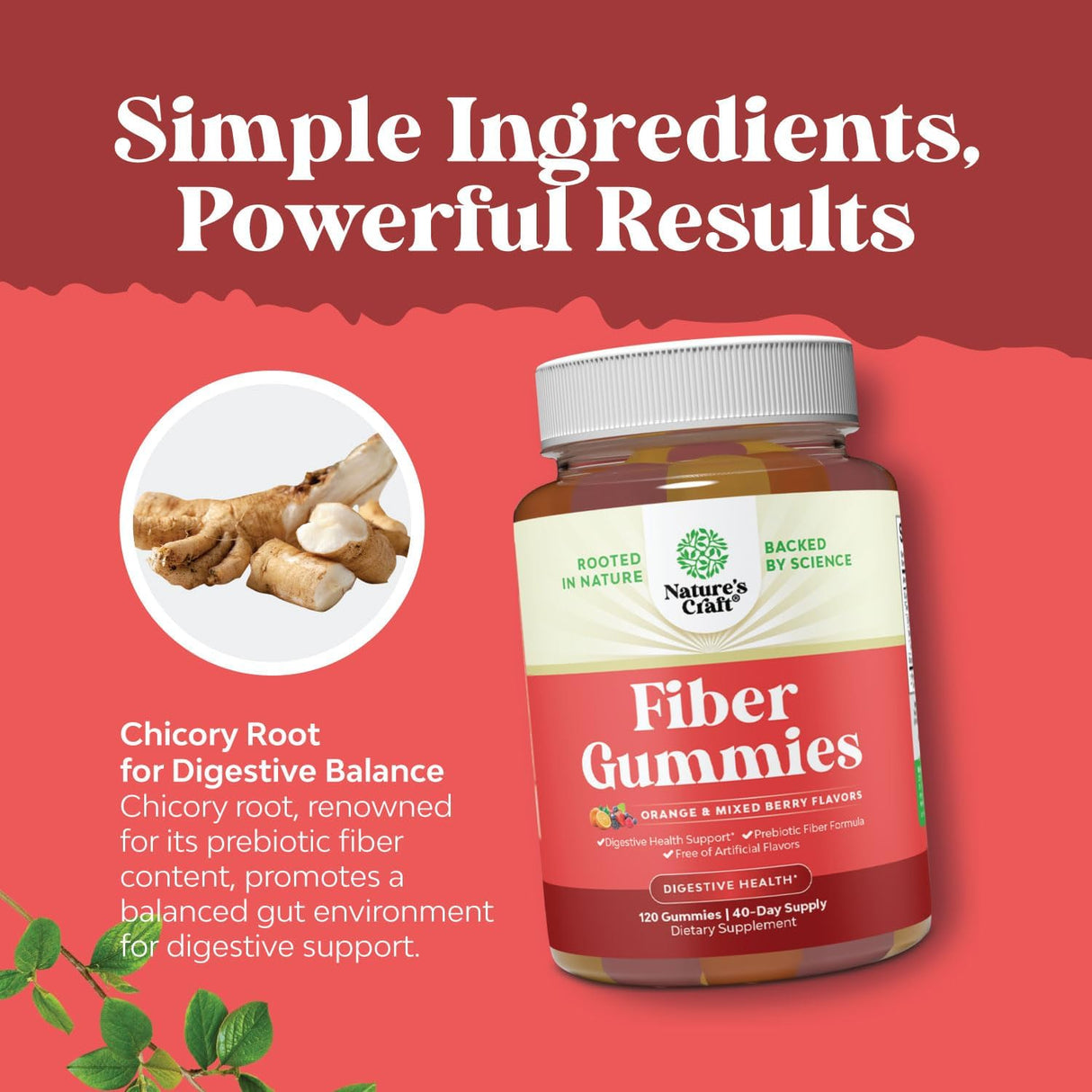 Suplementos Alimenticios de fibra prebiótica vitaminas