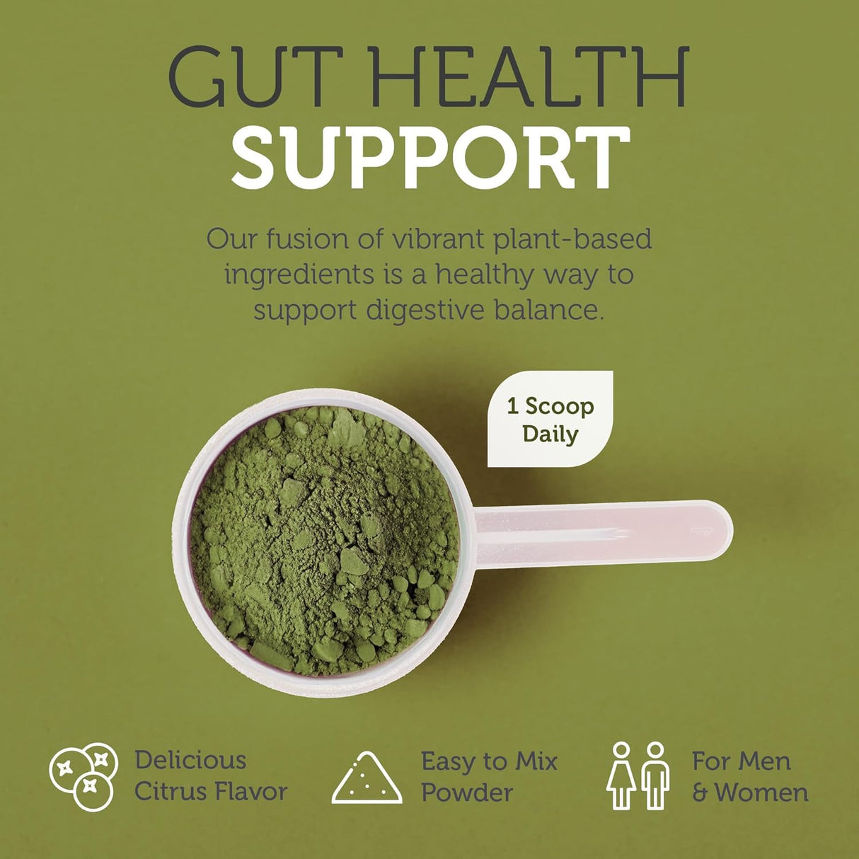 Suplemento nutricionales en polvo súper verde clorofila