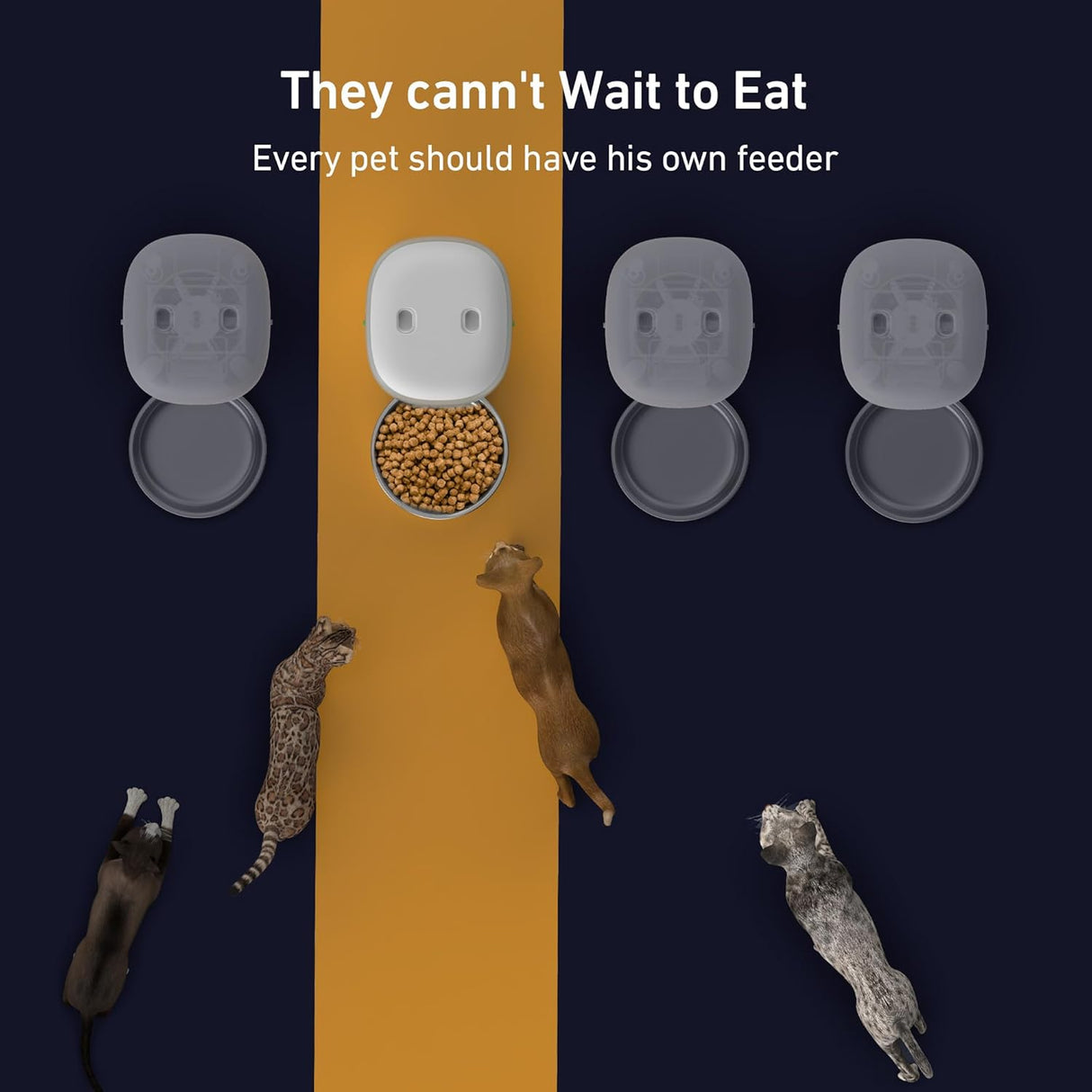 Comedero Automático para Gatos, Fácil de Usar, 2L/4L, Modelo X