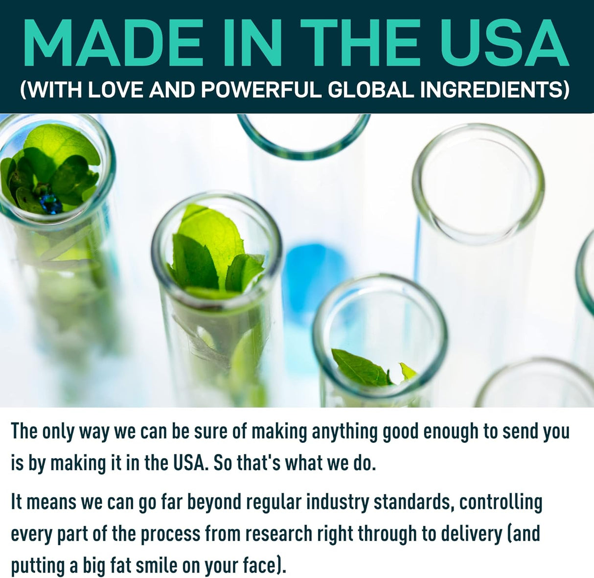 Suplementos Enzimas digestivas con probióticos y prebióticos