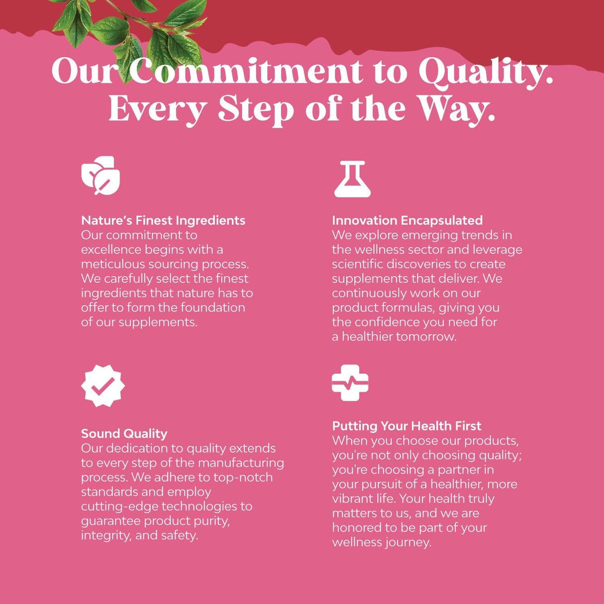 Suplemento de Extracto de Granada AntioxidanteSalud Cardíaca