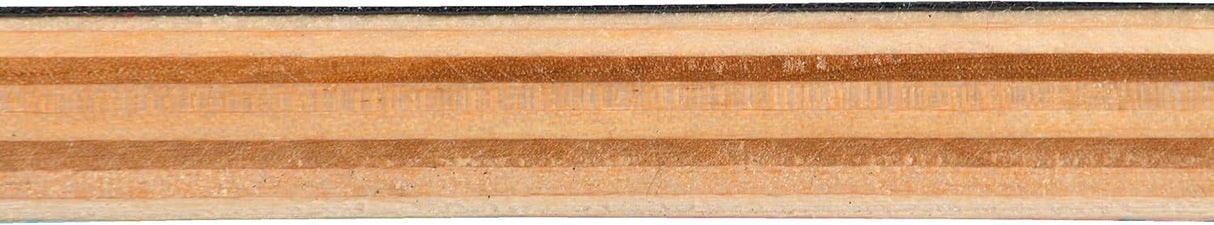 Patineta Completa para Principiantes, 31x8 pulgadas, 7 Capas