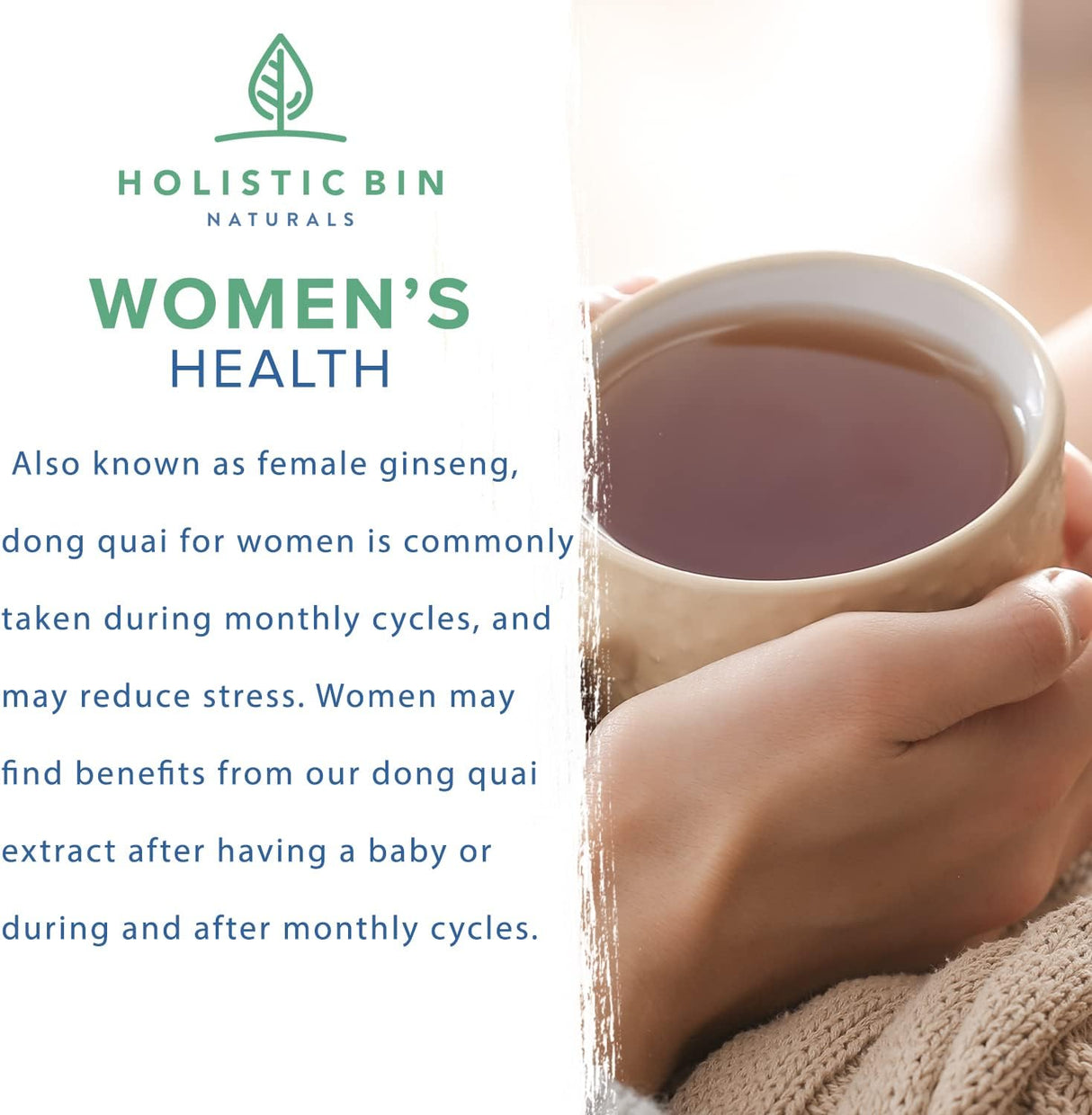 Suplemento Extracto en polvo de raíz de Dong Quai