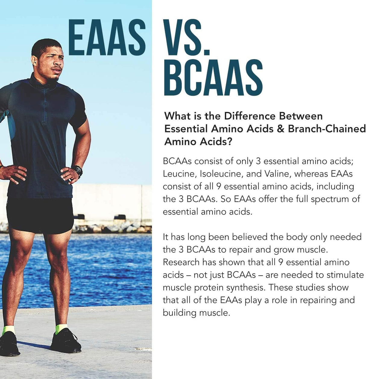 Suplementos Alimenticios Aminoácidos esenciales orgánicos