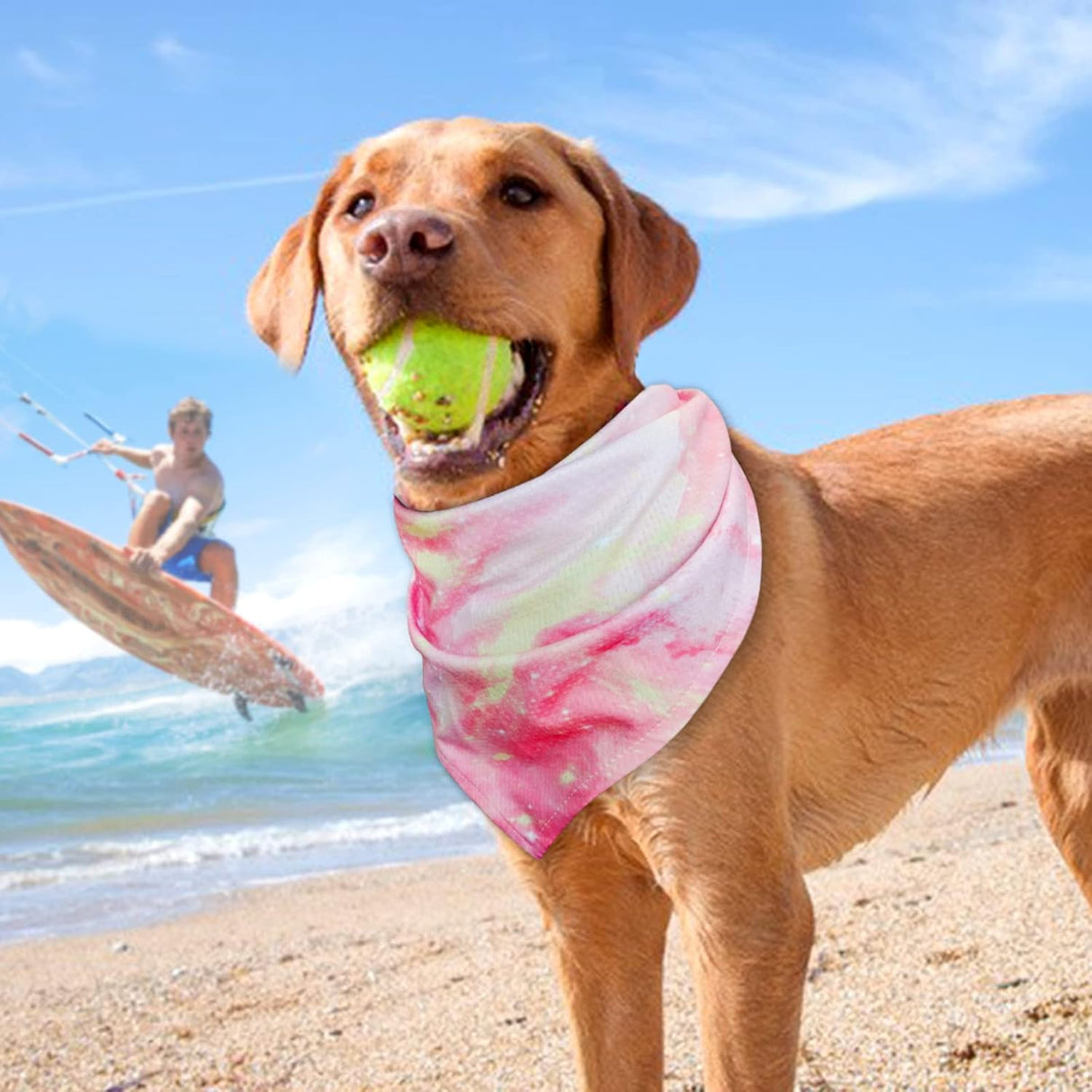 Disfraces de 2 bandanas refrescantes para perros talla única