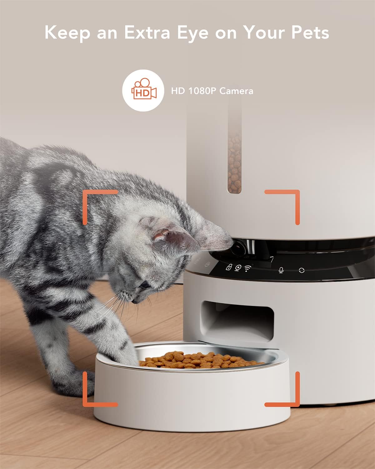 Comederos y Bebederos automático para gatos con cámara