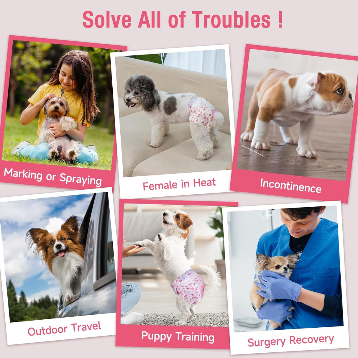 Pet Soft Pañales desechables, pañales para perras con agujero