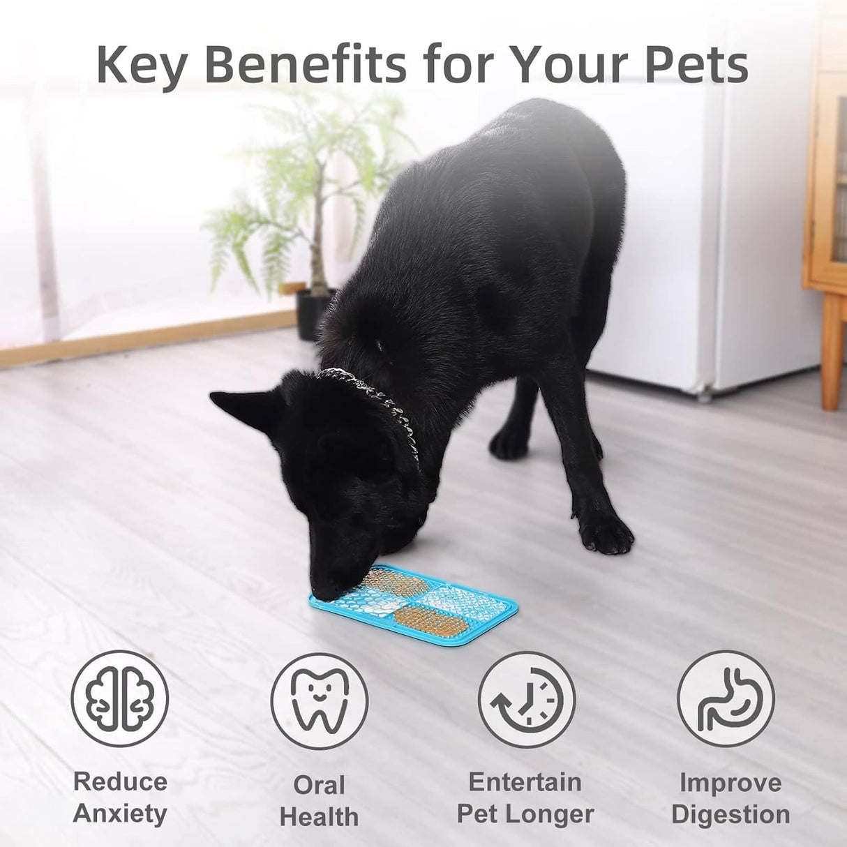 MateeyLife 2 alfombrillas tipo comedero grandes para perros