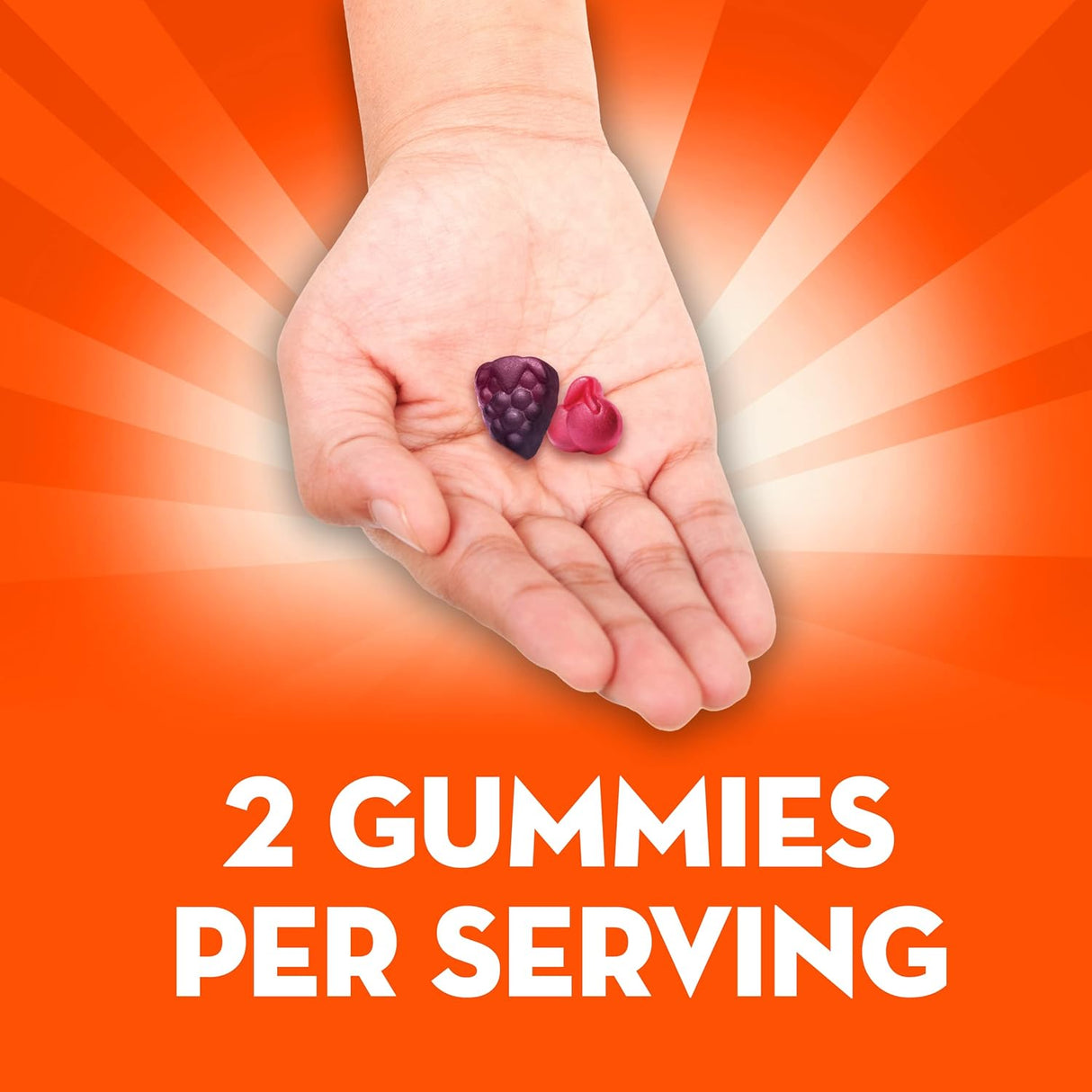 Suplementos Alimenticios Prebióticos