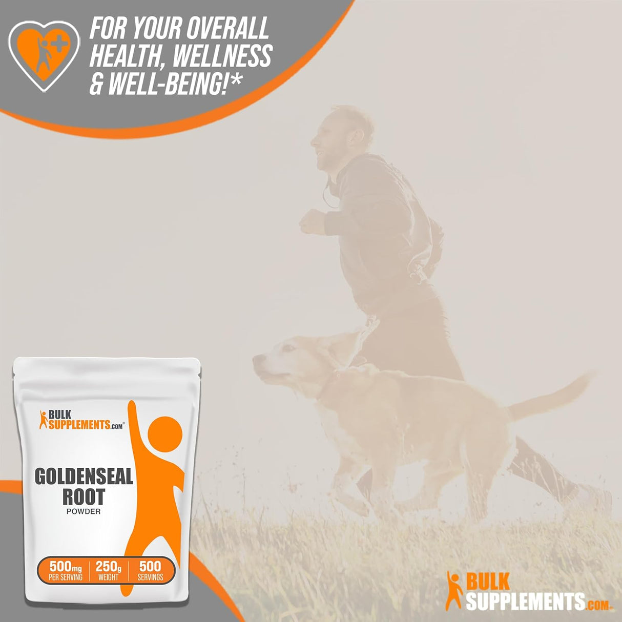 Suplemento BULKSUPPLEMENTS Goldenseal Polvo de raíz 250g