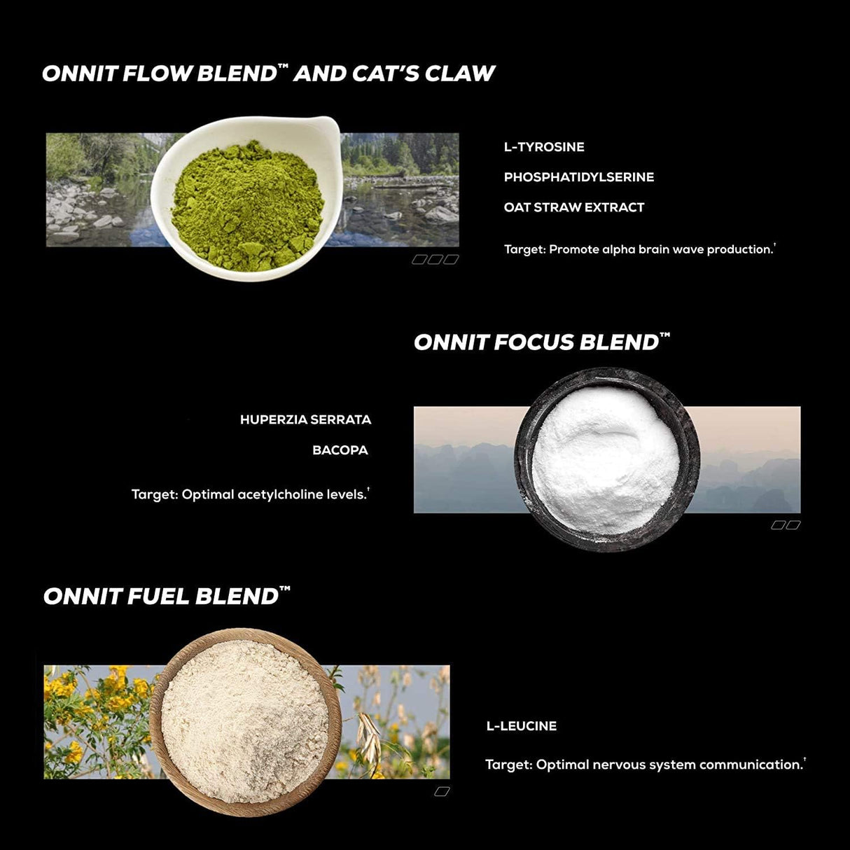 Suplemento Nootrópico Premium para Enfoque y Memoria - Alpha Brain