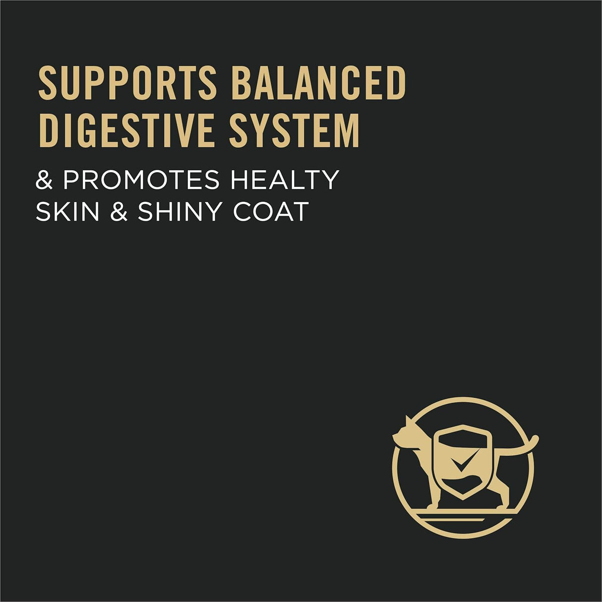 Alimento gatos con piel y estómago sensible