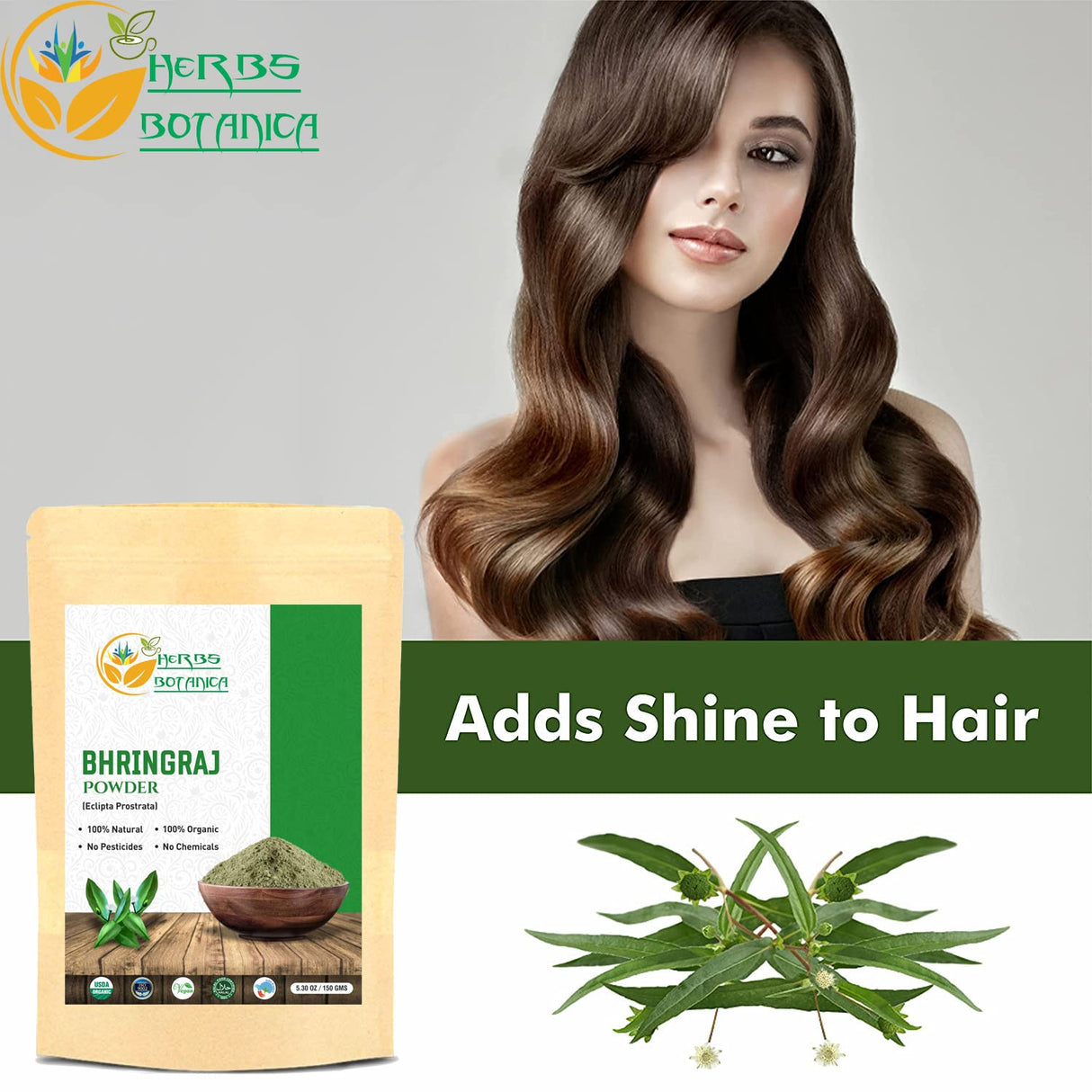 Polvo orgánico Bhringraj Eclipta Alba para cabello radiante