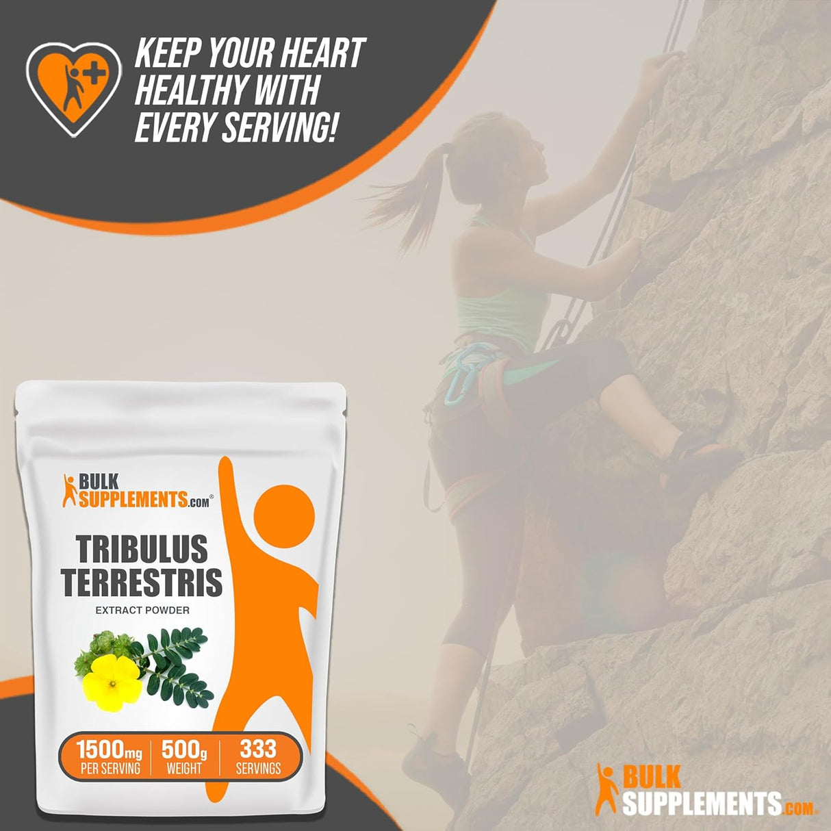 Suplemento Polvo de tribulus terrestris puro