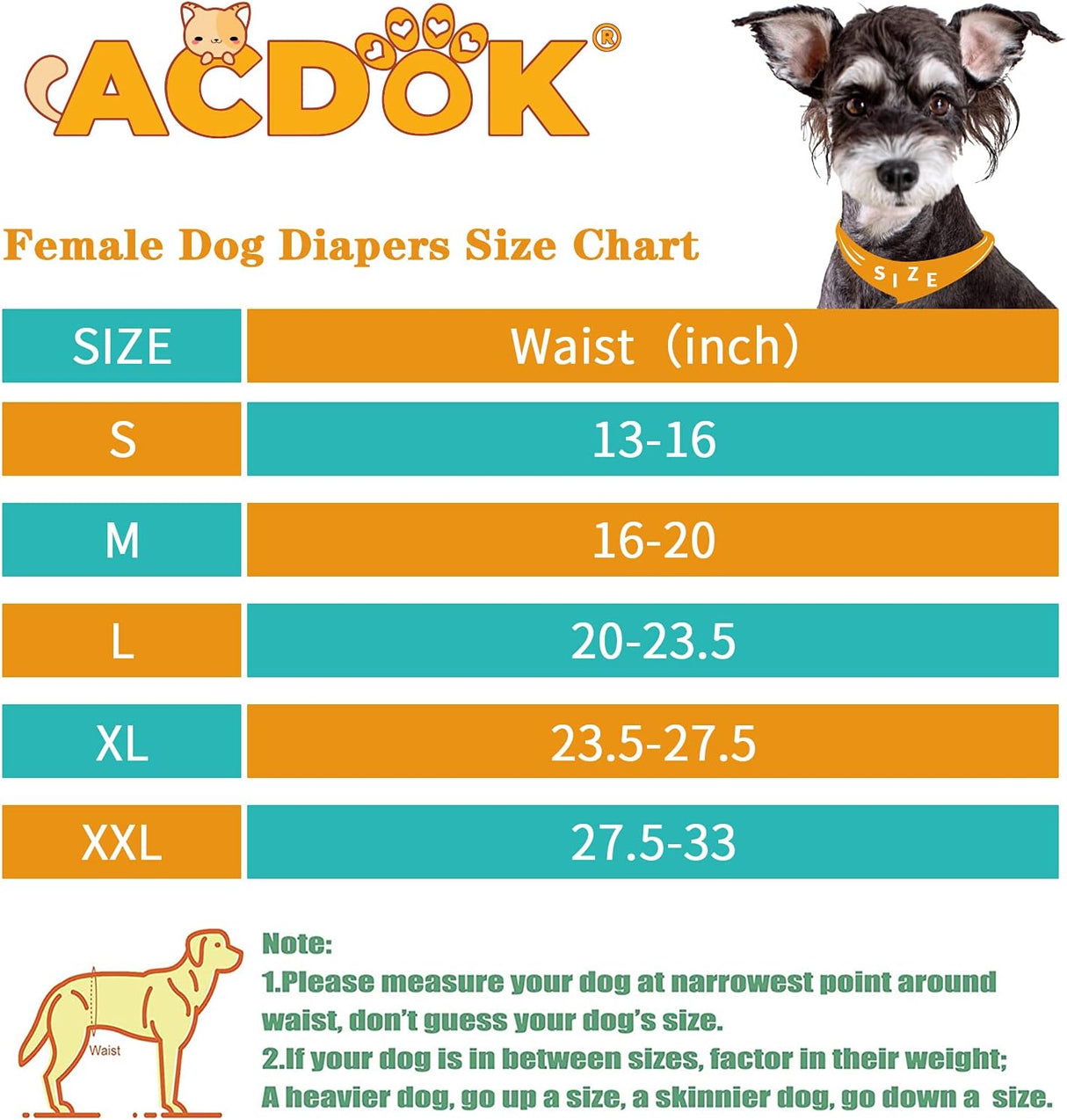 Pañales lavables para perras, paquete de 3