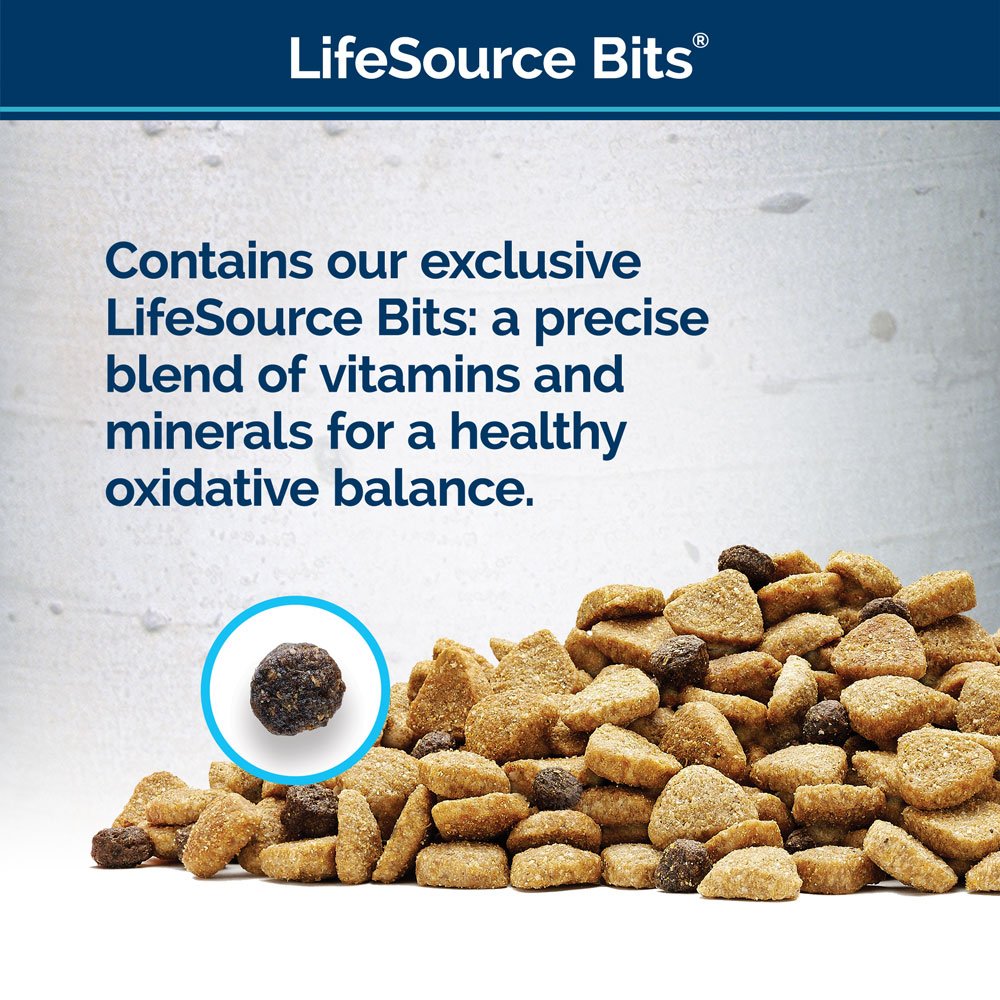 Alimento seco para perros.