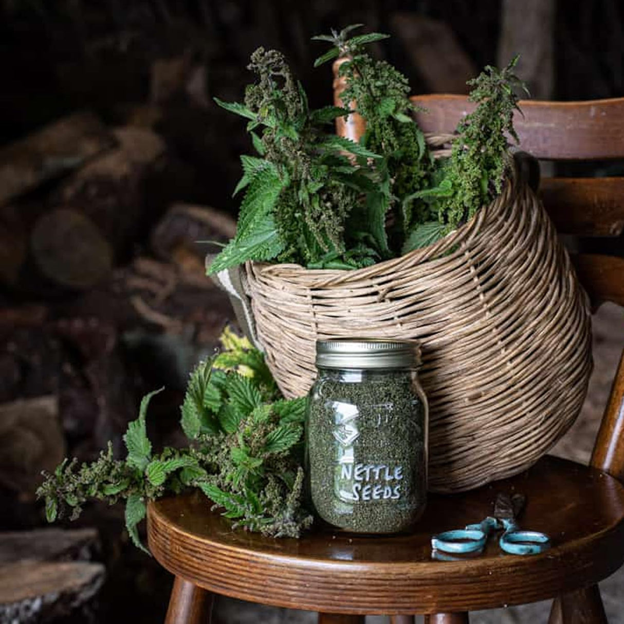 Semillas de Ortiga Natural - 250g Calidad Premium Urtica dioica