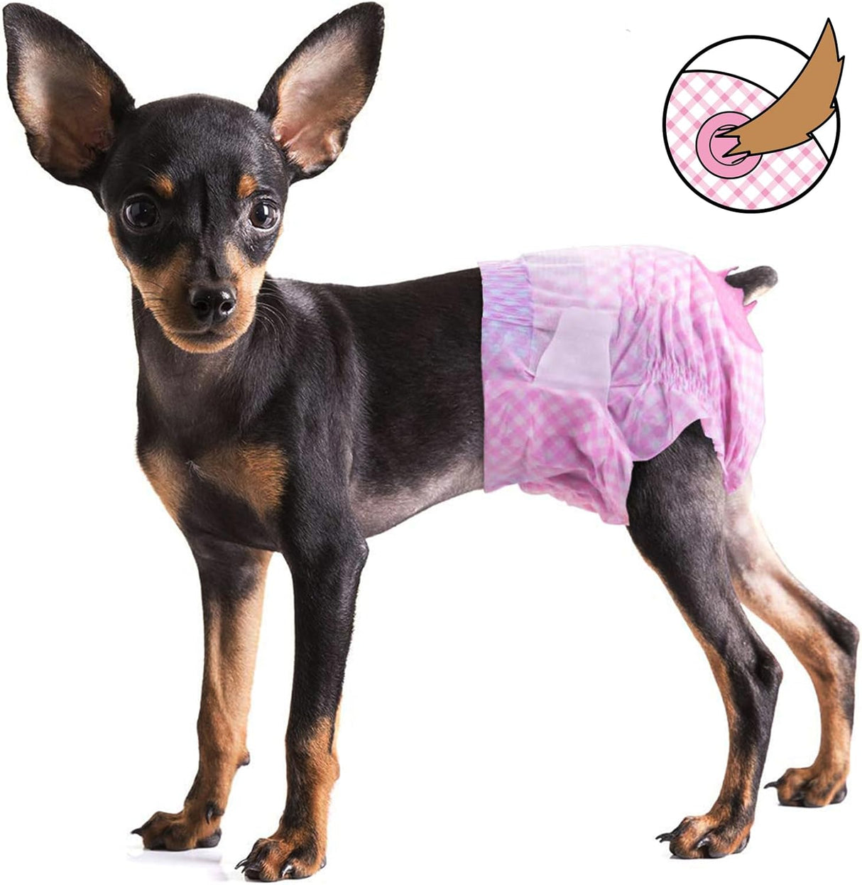 Pet Soft Pañales para perros femeninos –12 piezas (XS, rosa)