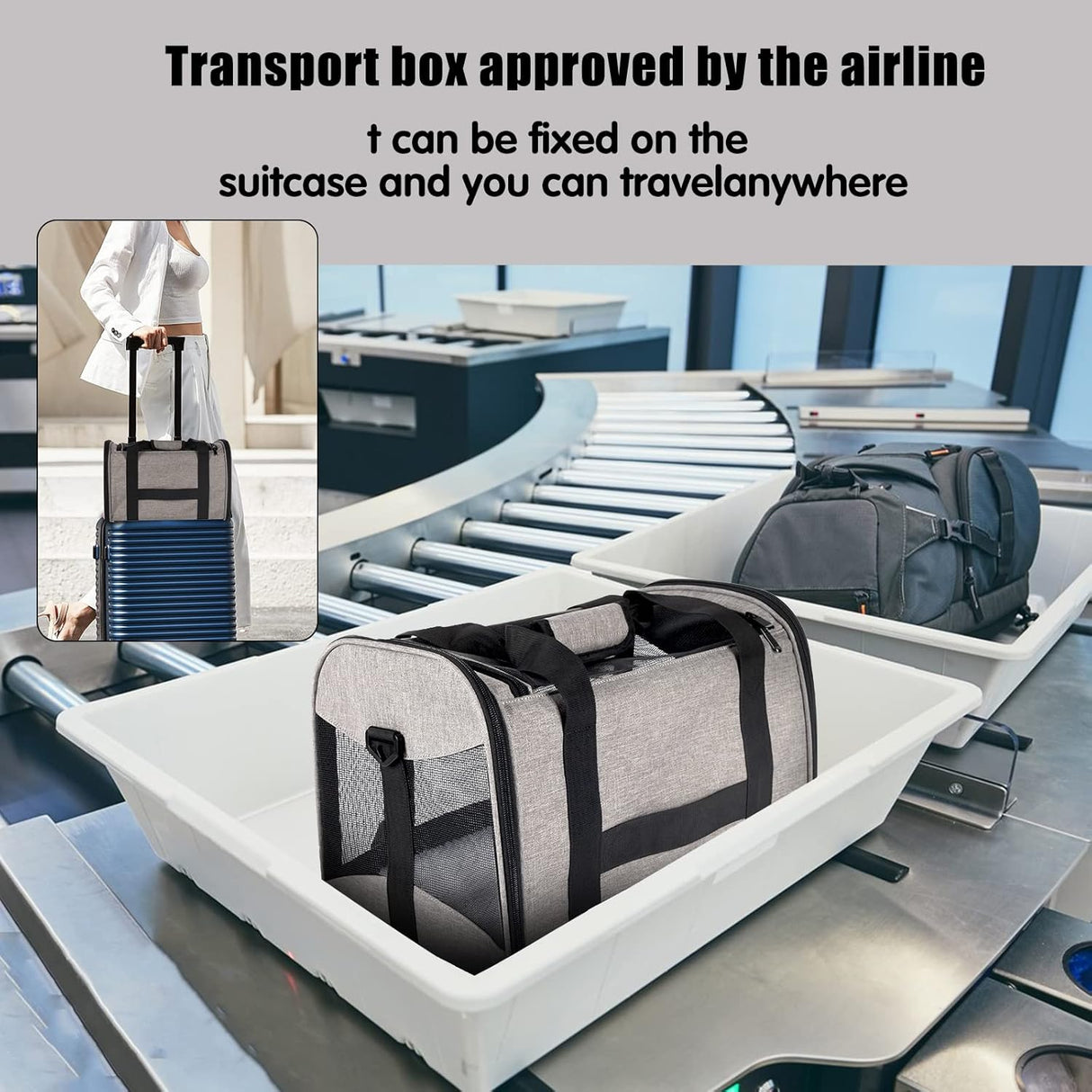 Transportín para Gatos - Aprobado por Aerolíneas, Móvil, M