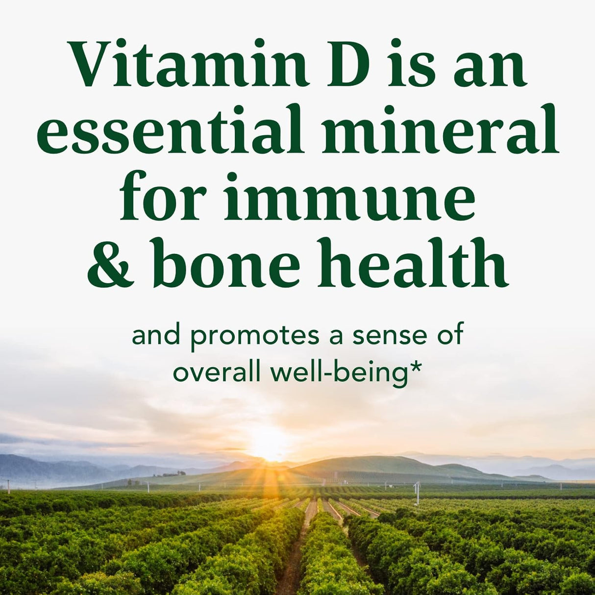 Suplemento Gomitas de magnesio extra fuertes para adultos