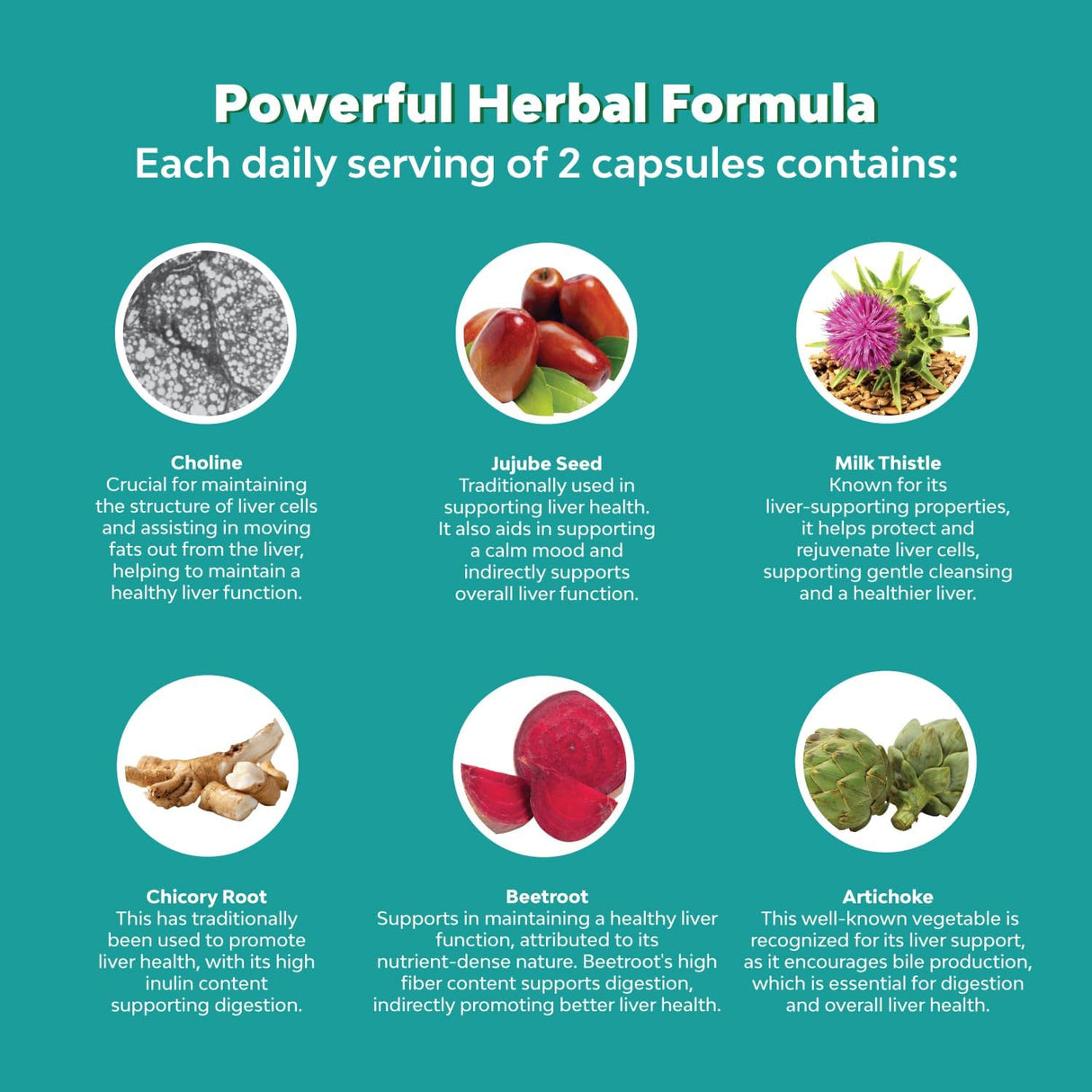 Suplemento 100 mil millones de probióticos + prebióticos