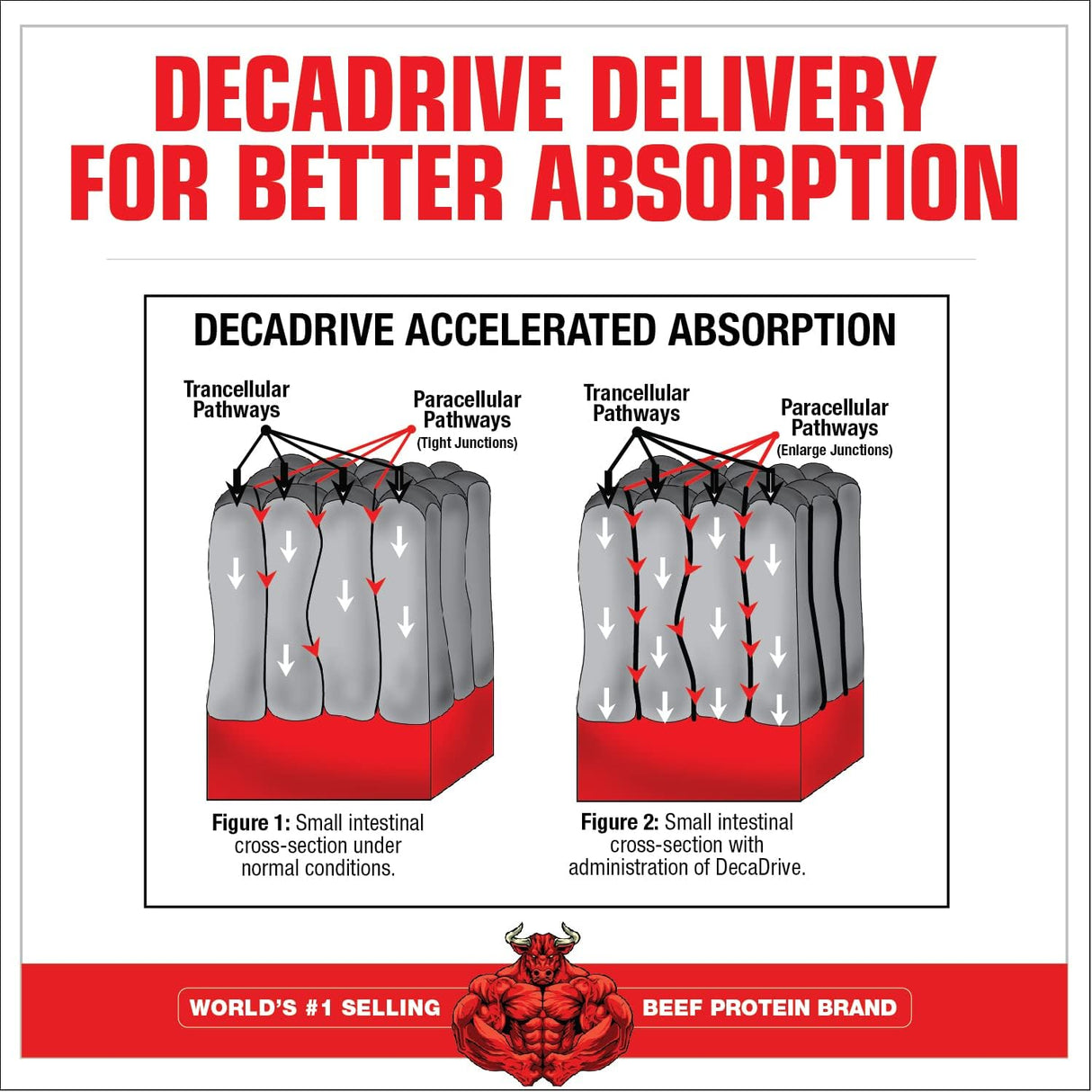 Amino Decanate MuscleMeds, 384g, Sabor Citrón Lima