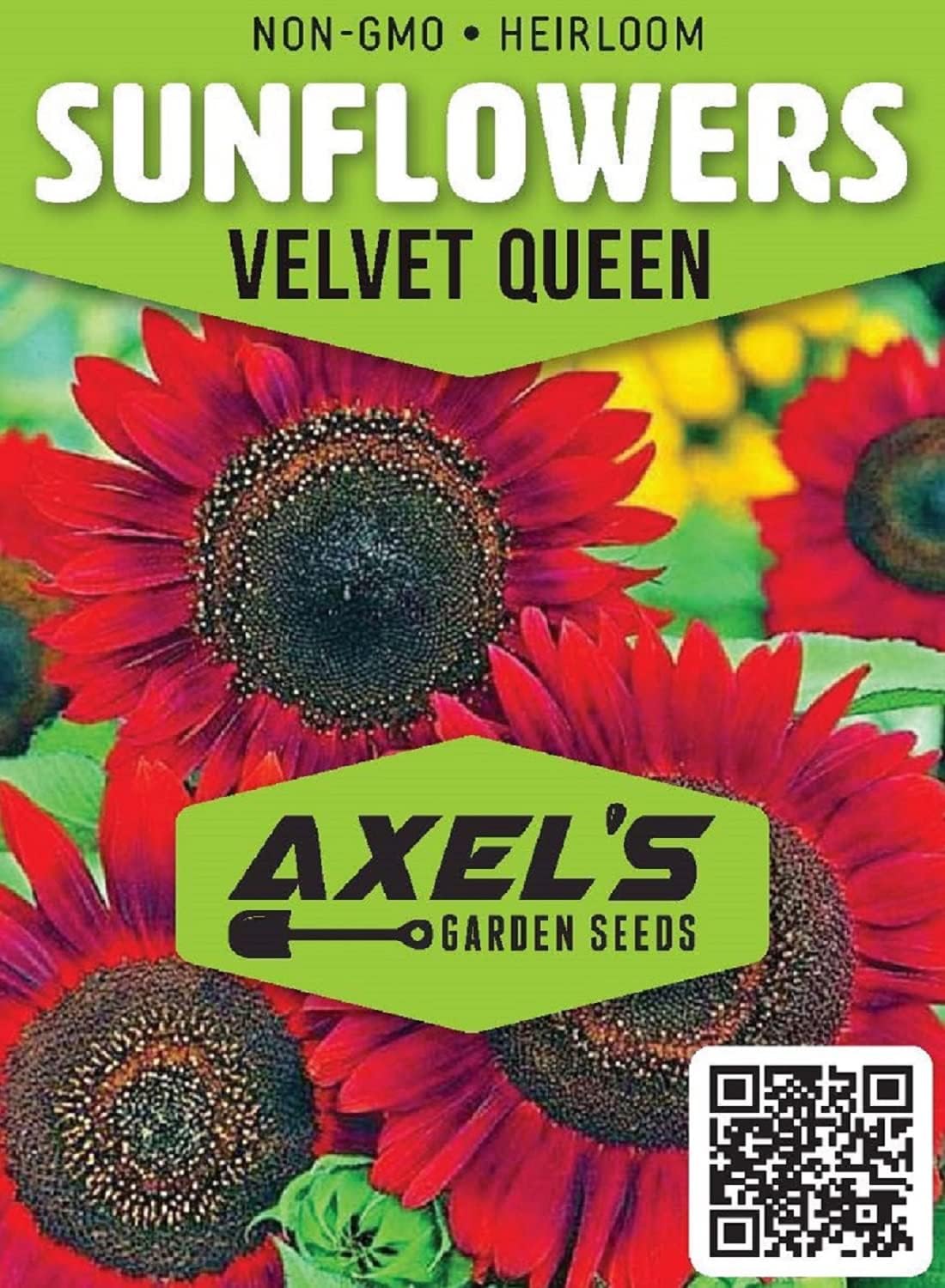 Semillas de Girasol Velvet Queen RattleFree | Heirloom | 50 Unidades