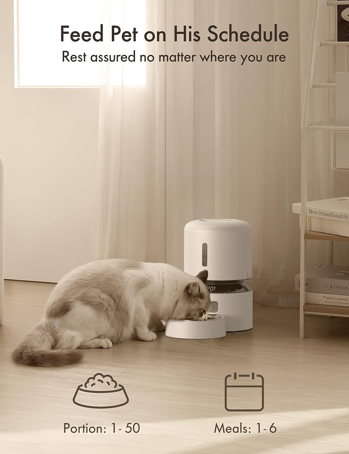 Comedero automático para gatos y dispensador de alimentos