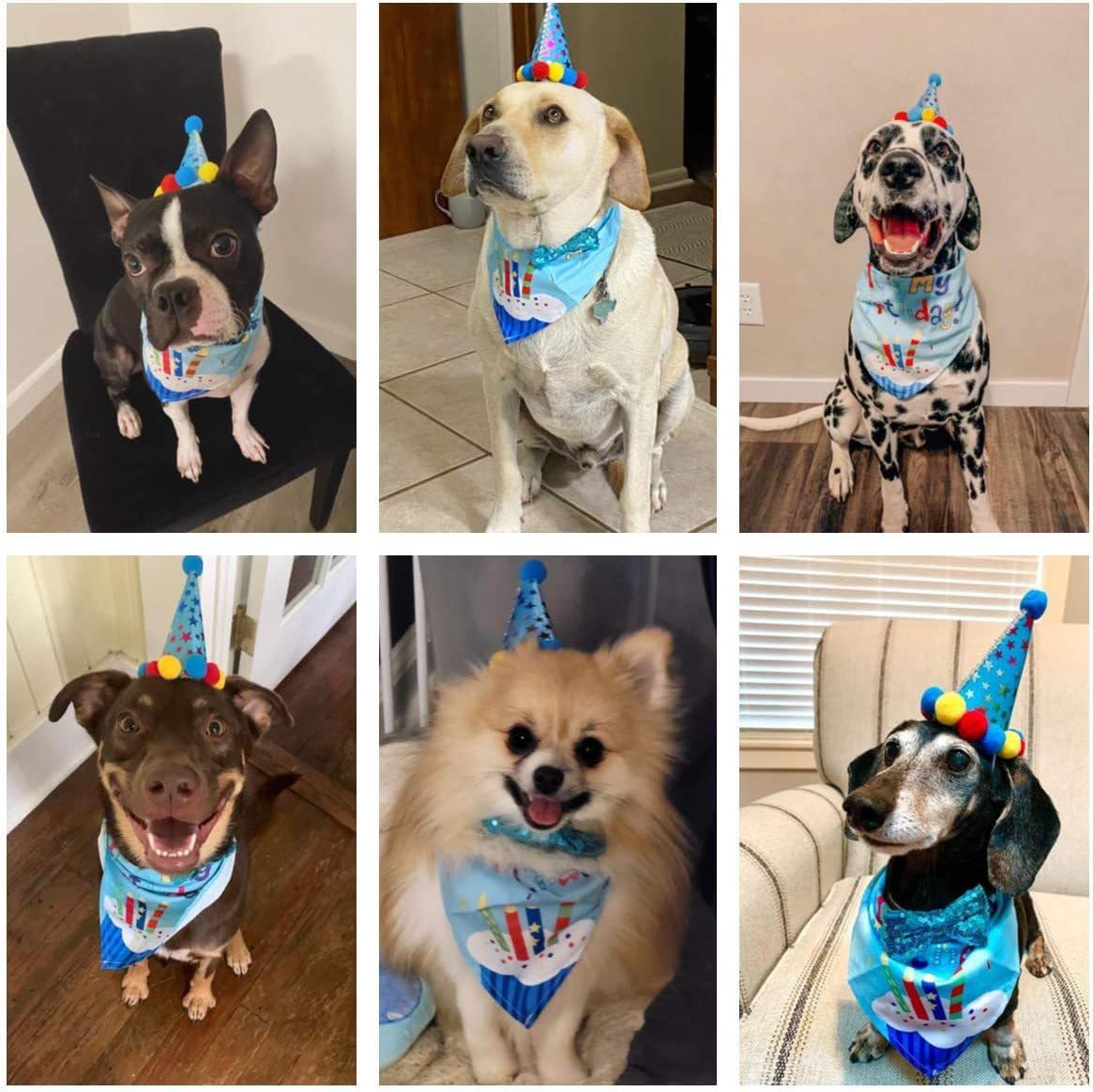 Disfraces de Cumpleaños para Perro Agirlvct, 4 Piezas