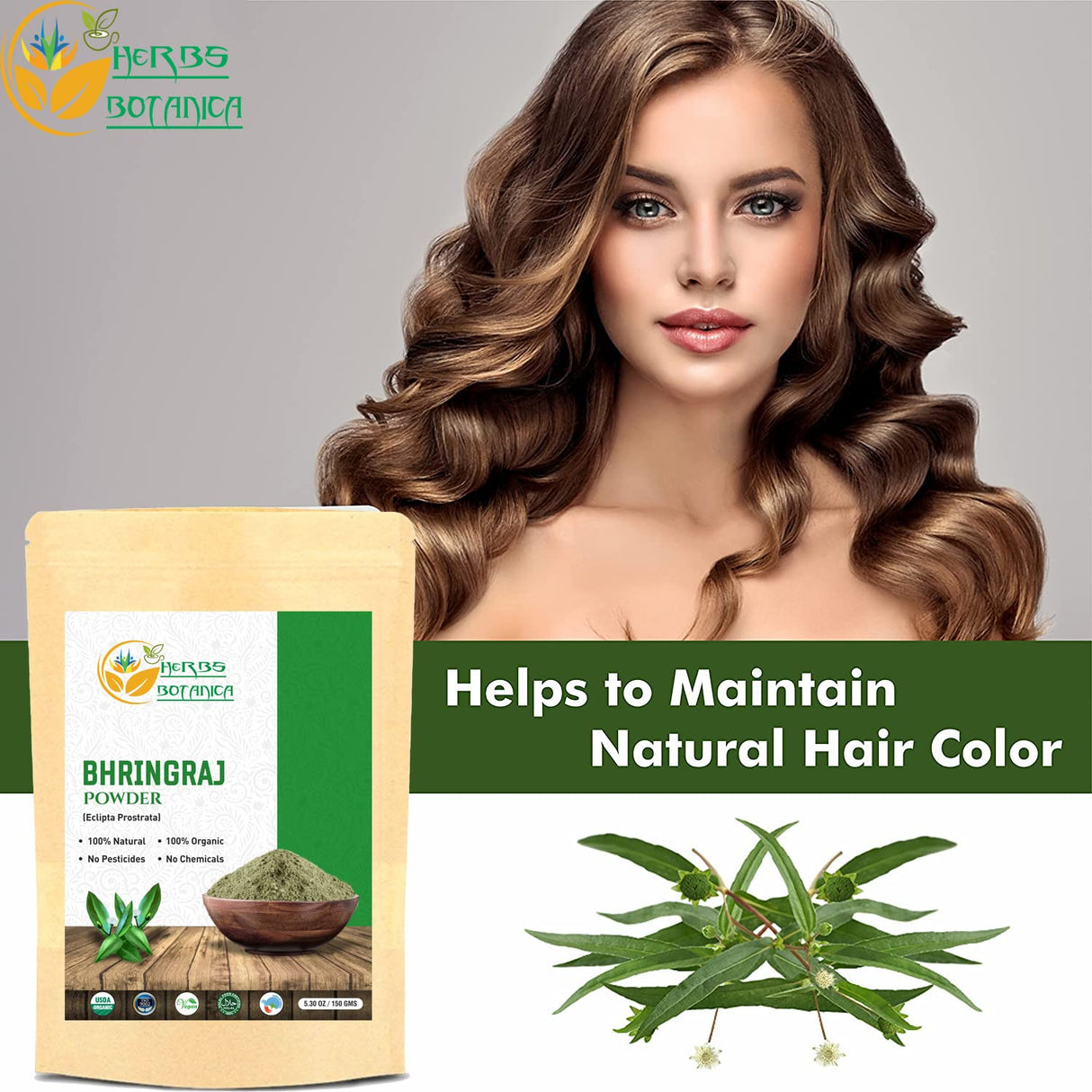 Polvo orgánico Bhringraj Eclipta Alba para cabello radiante