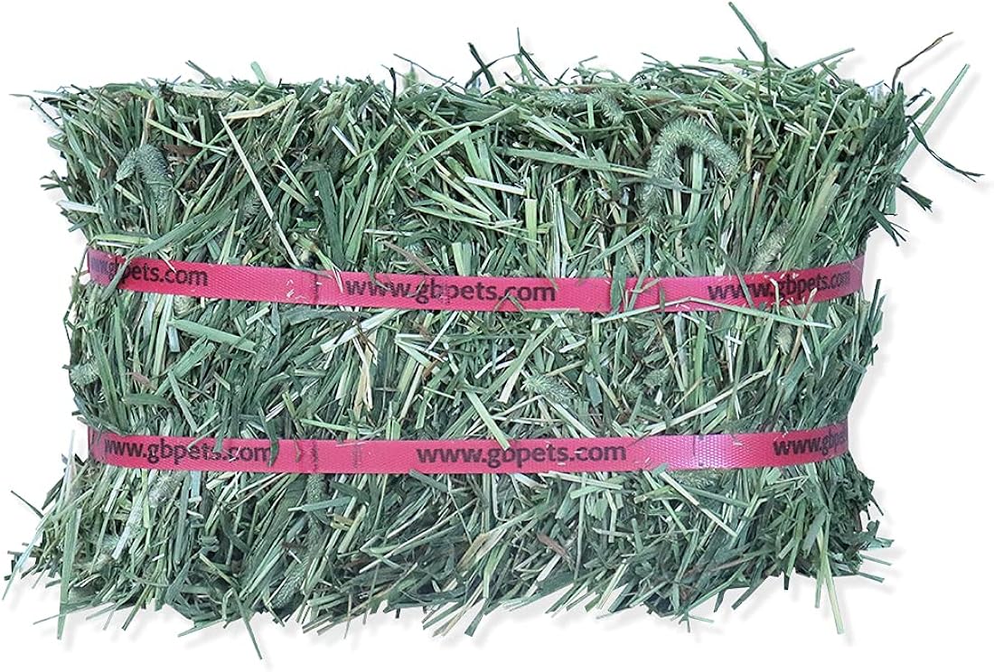 Bala de heno 5 libras Grandpa's Best Timothy