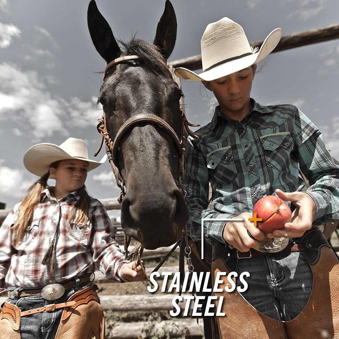 Cuchillo plegable de caza negro en la hoja como en el mango