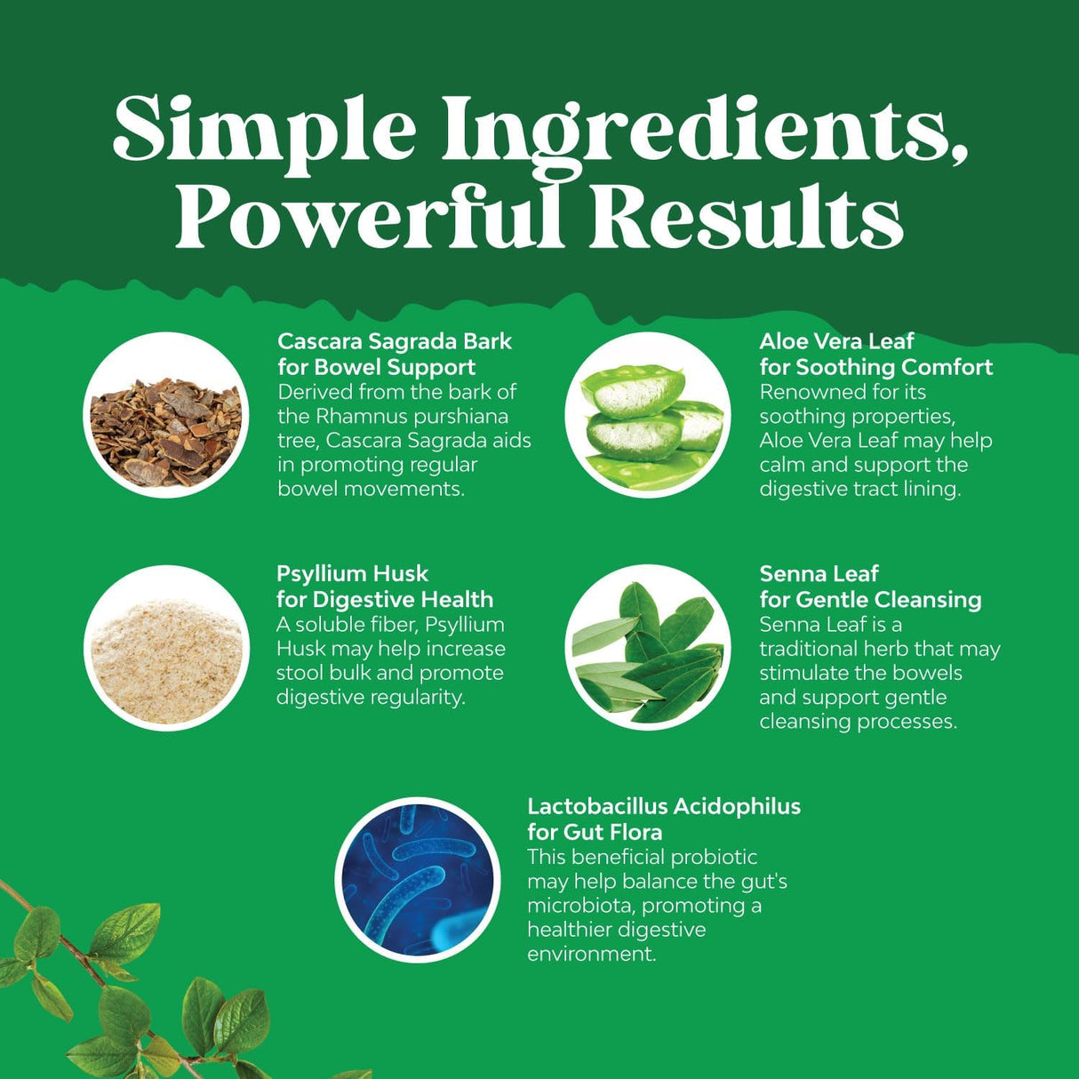 Suplementos laxantes Herbales con Probióticos para Digestión