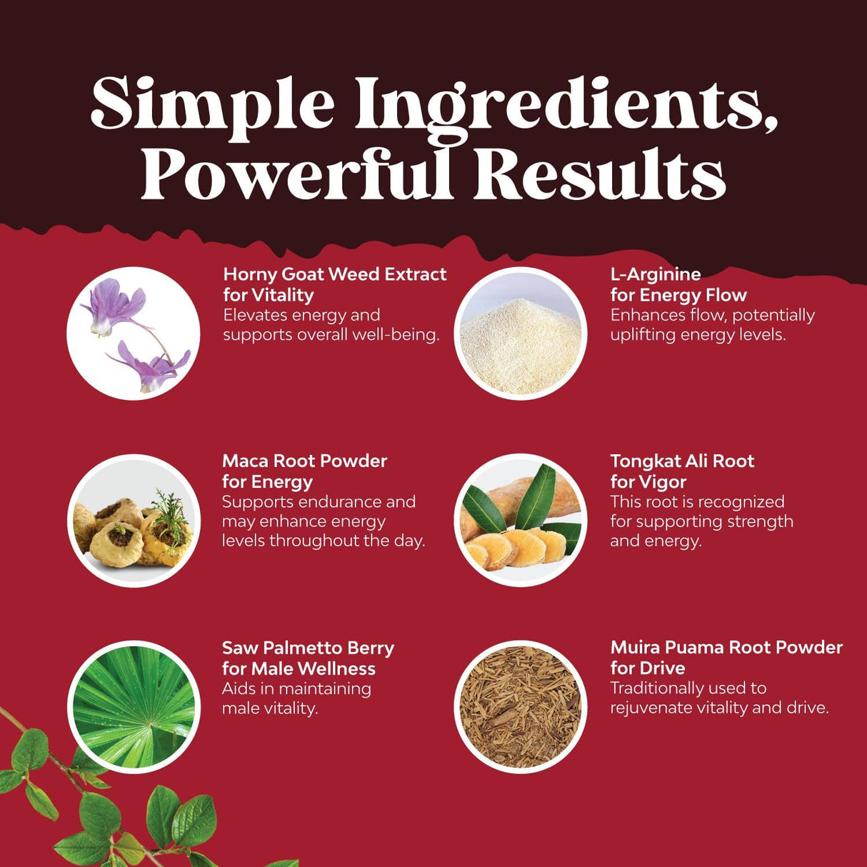 Suplemento de hierba de cabra cachonda de 1000 mg 90 unidad