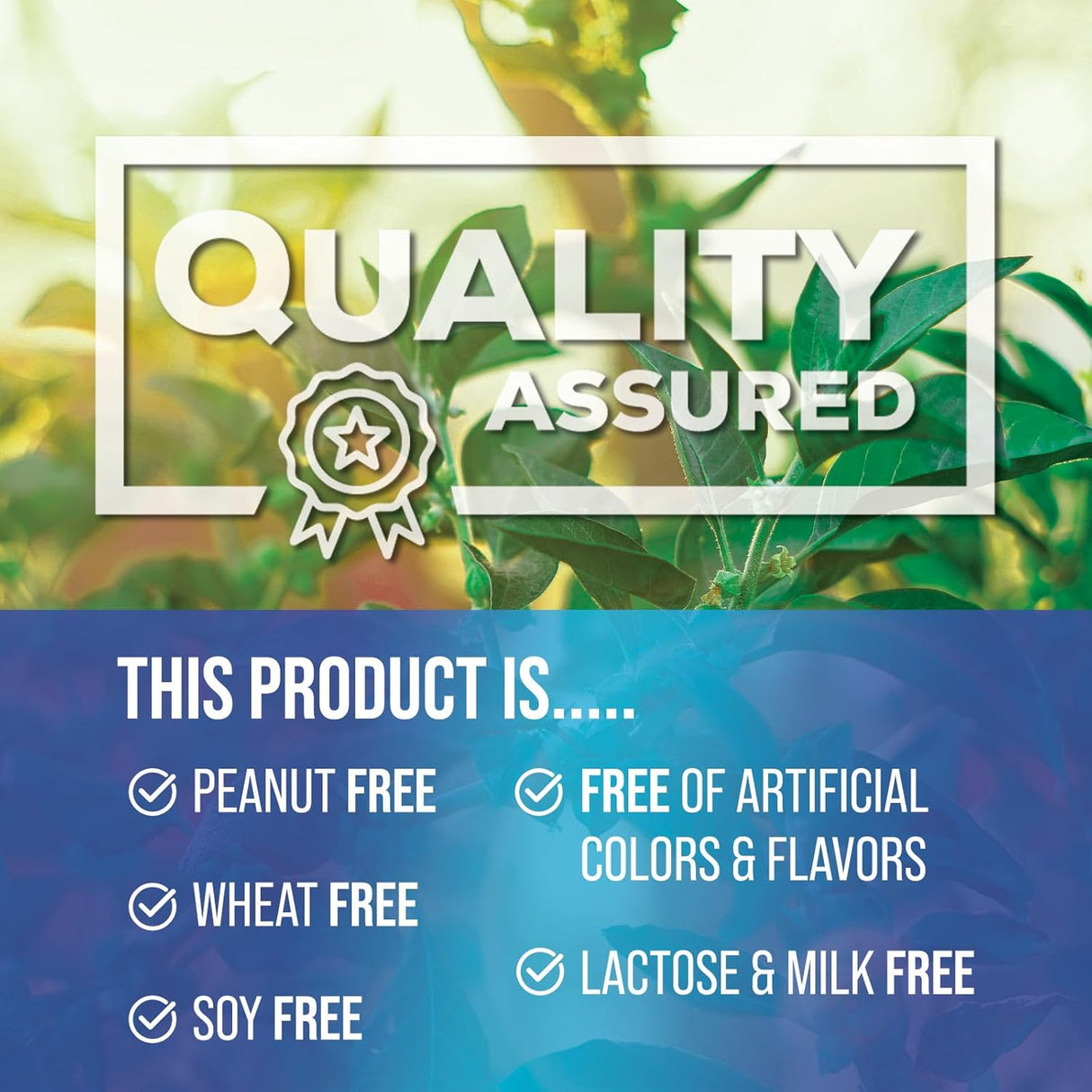 Ashwagandha 2100 mg Extra Fuerte con Pimienta Negra 60 Cápsulas