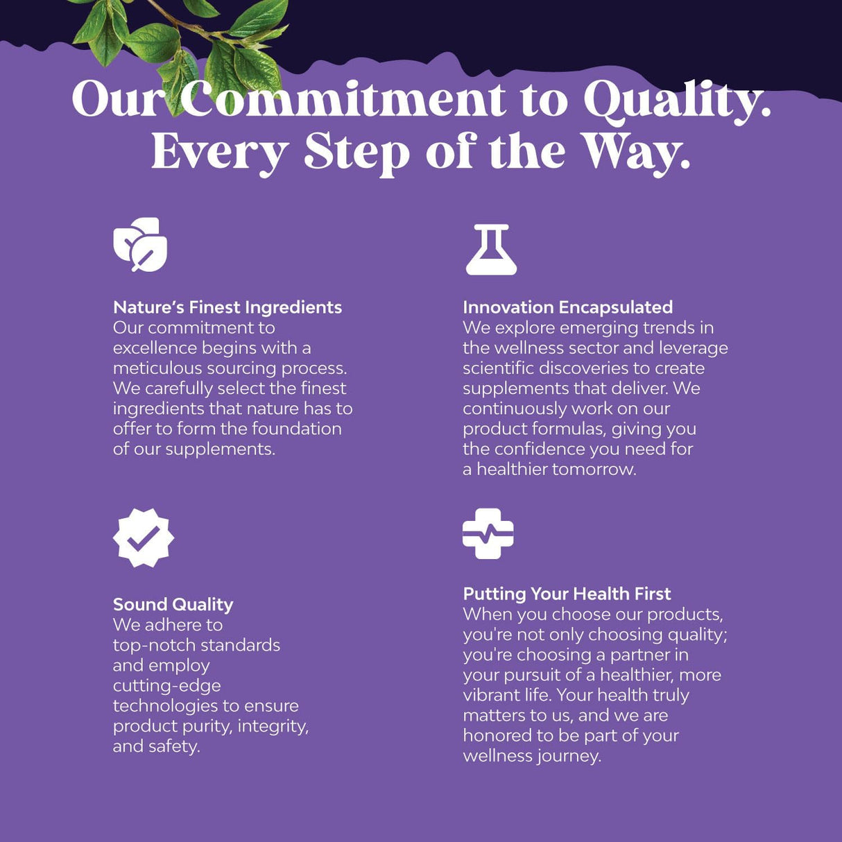 Cápsulas Veganas de Aceite de Semilla Negra con Omega 3, 6, 9