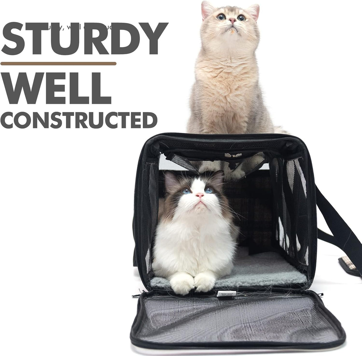 Transportadora para Gatos EXPAWLORER, Aprobada por Aerolíneas