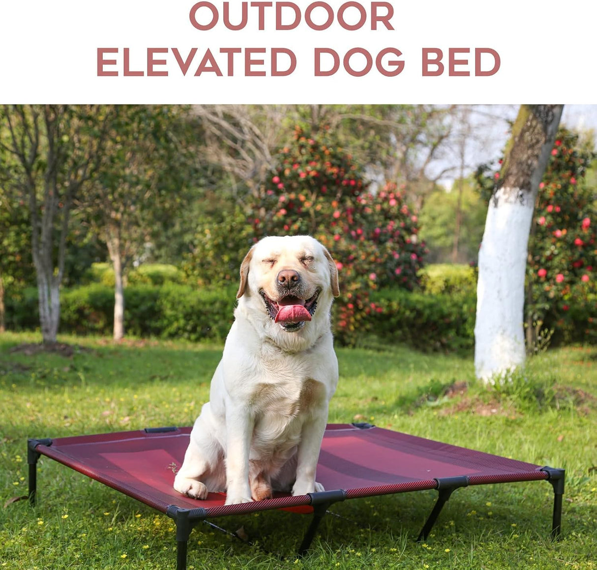 Cama Elevada para Perros Suddus Impermeable X-Large Portátil