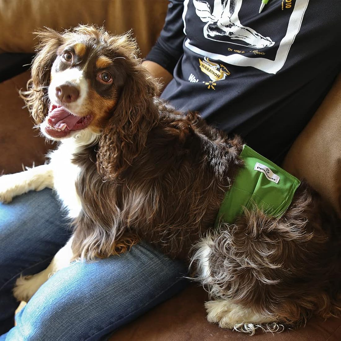 Bandas para vientre de perros lavables (3 PACK) de fundas