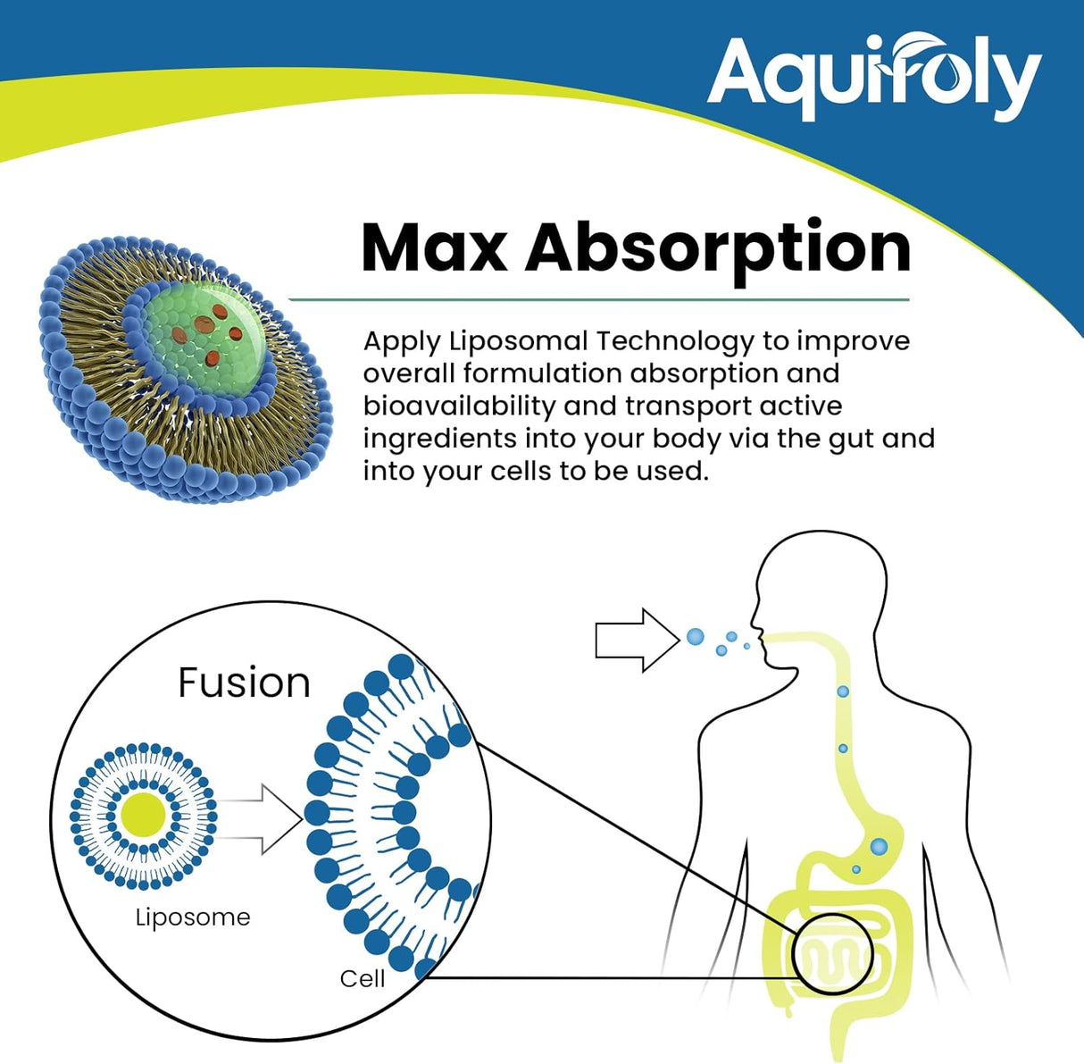 Liposomal Nicotinamide Riboside Supplement with TMG and Pterostilbene