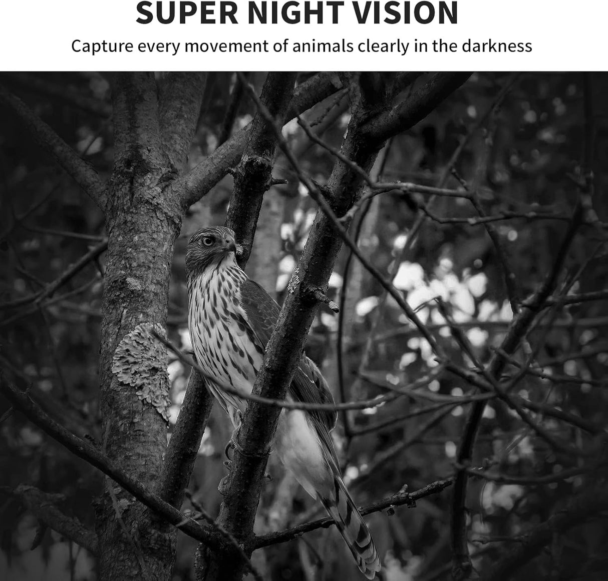 Cámara de Caza WOSPORTS 24MP 1080P HD, Visión Nocturna, 2 Pack