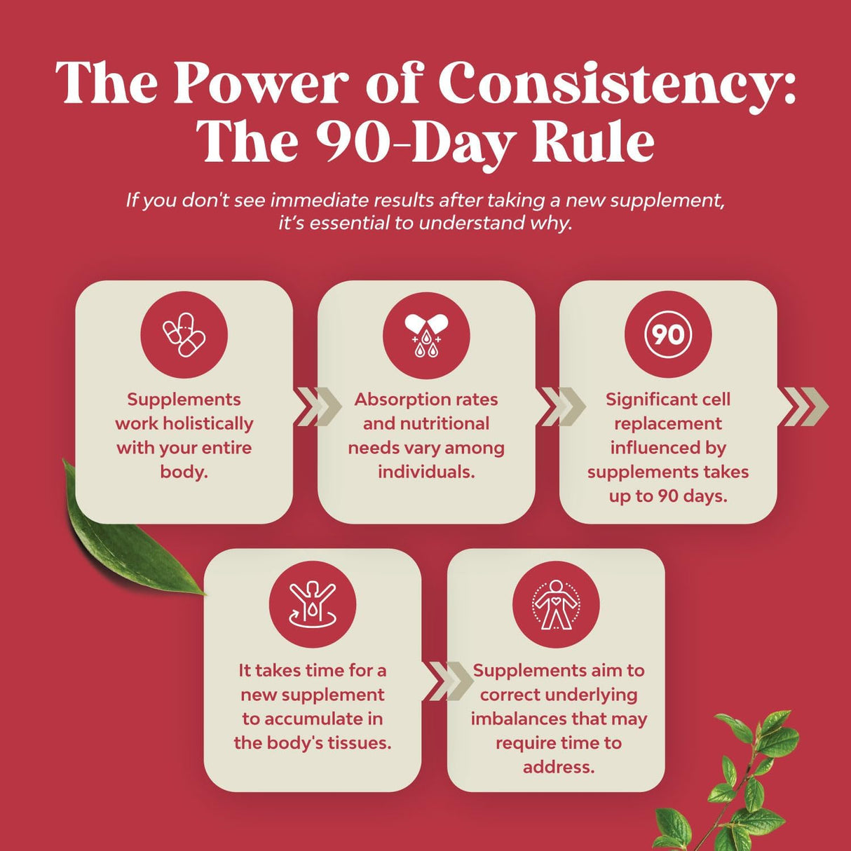 Suplemento de Extracto de Granada AntioxidanteSalud Cardíaca