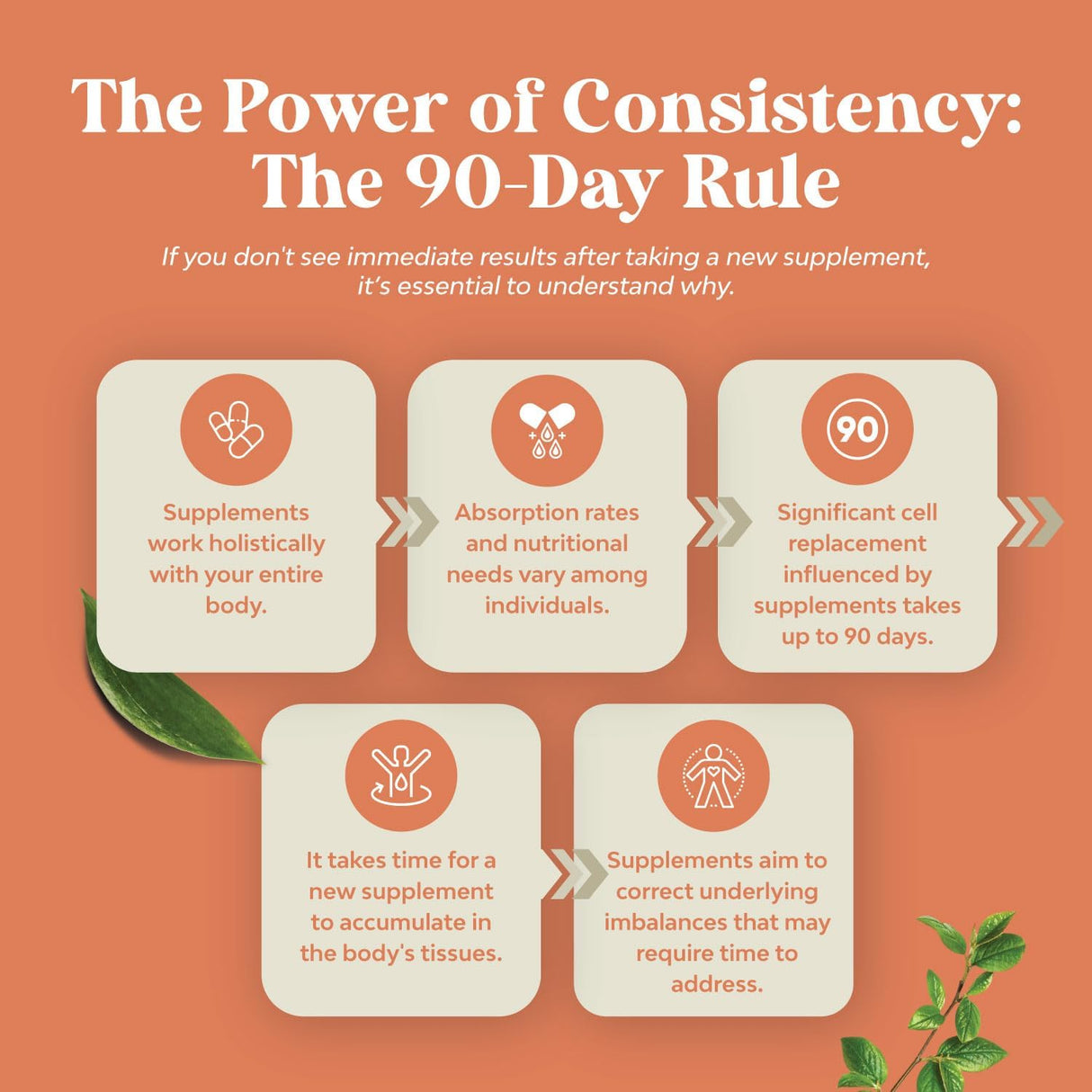 Suplemento nootrópico de hongos con melena de león y Reishi