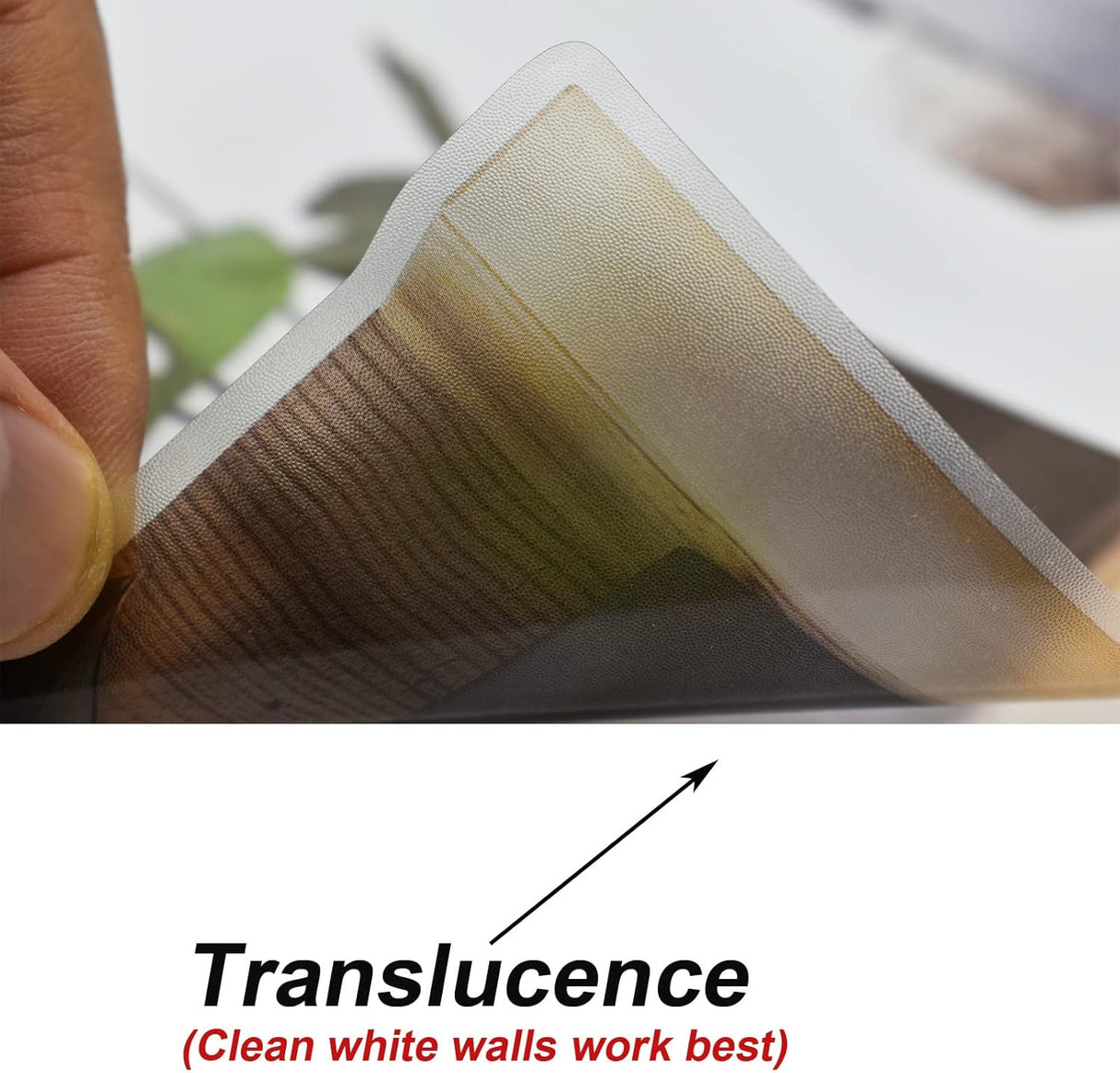 Vinilos Decorativos Maydahui Plantas Tropicales 3D 34x31 Pulgadas