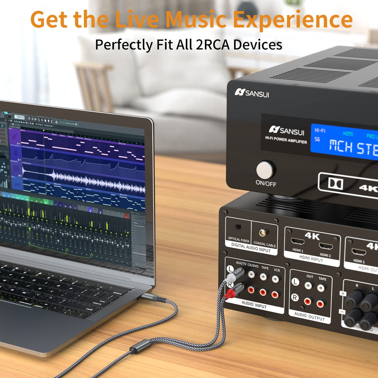 Cable de audio USB C a 2 RCA 6.6 pies tipo C a RCA macho