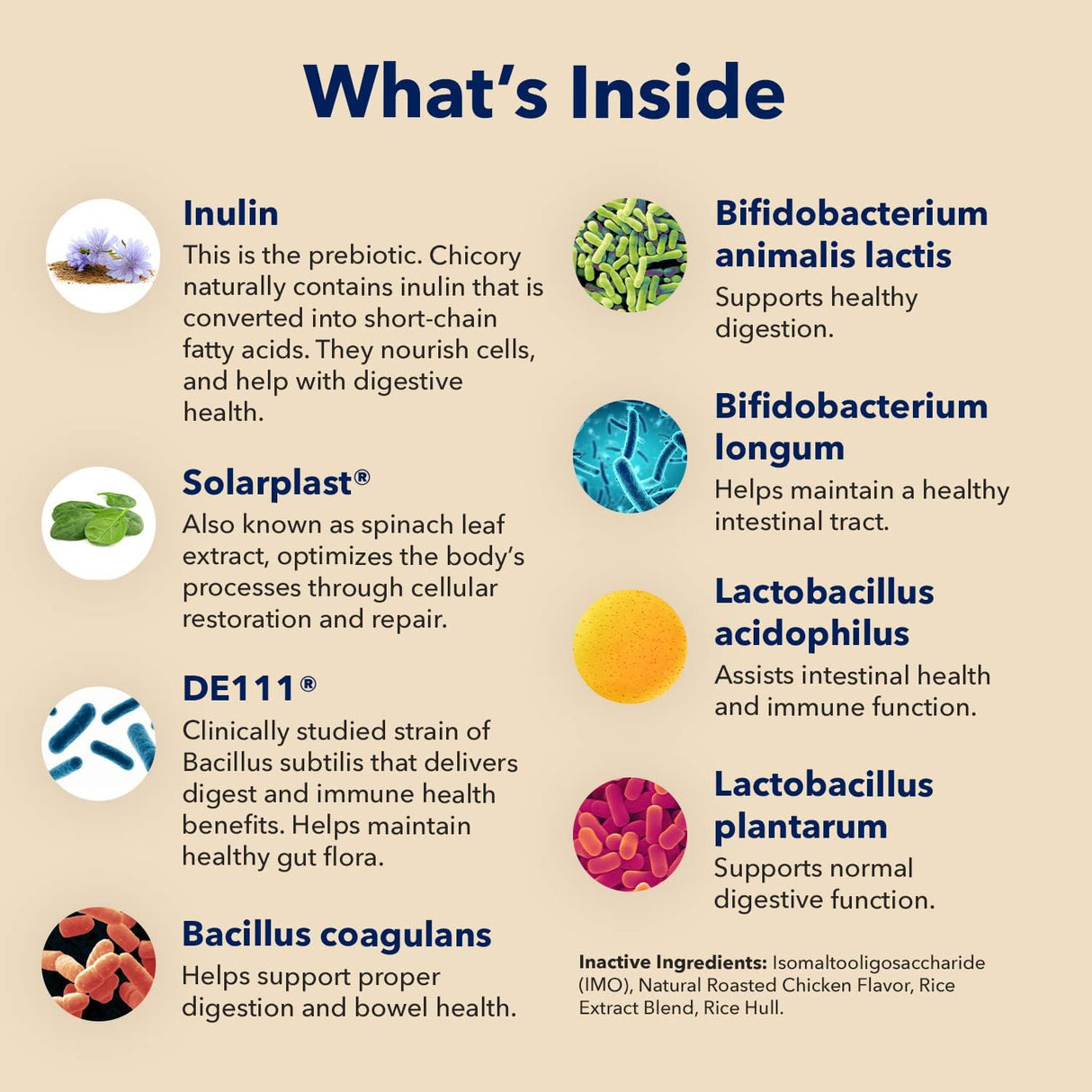 Vitaminas Probióticos para perros Polvo probiótico
